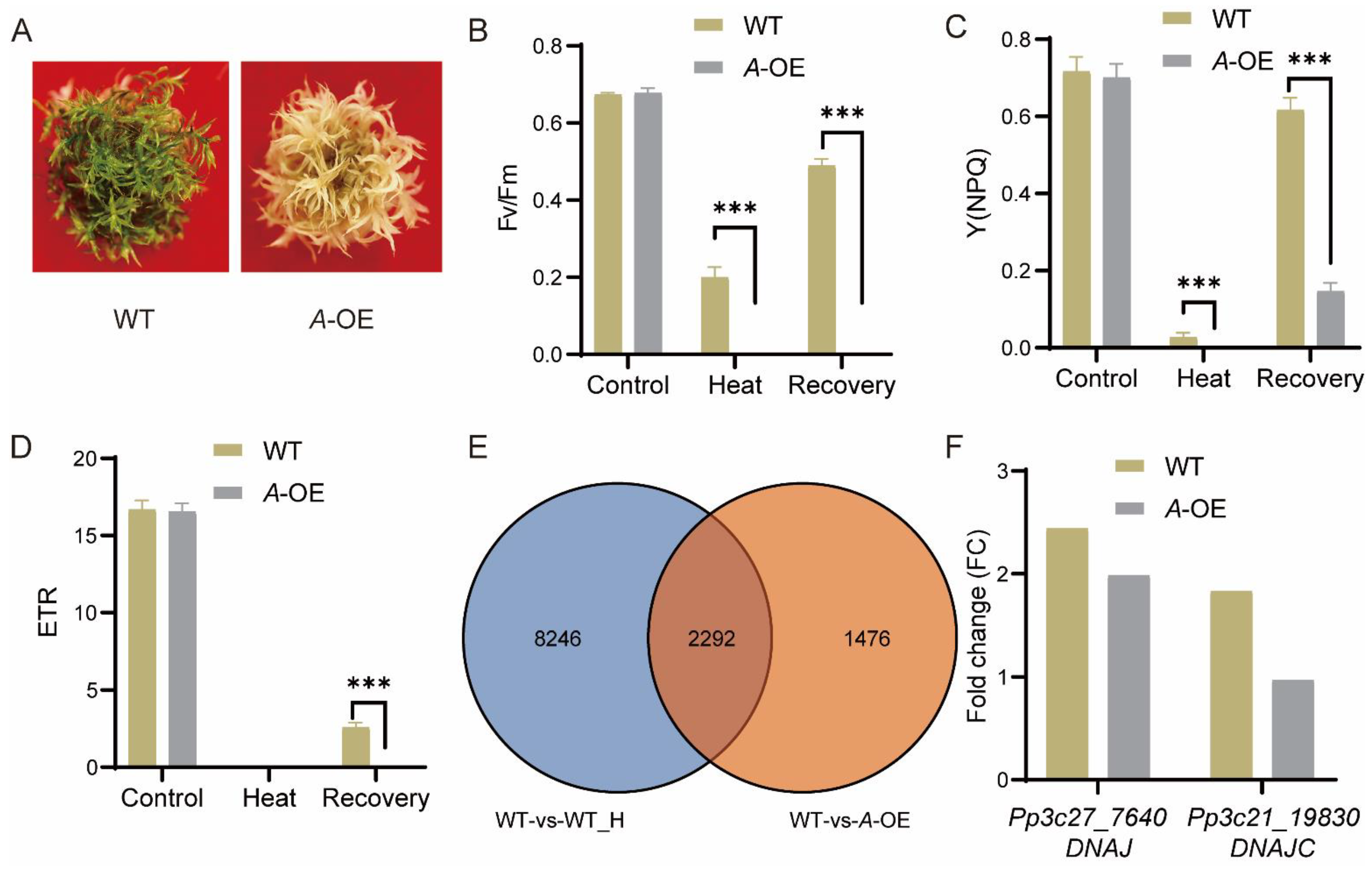 Ijms 23 09270 g005 550