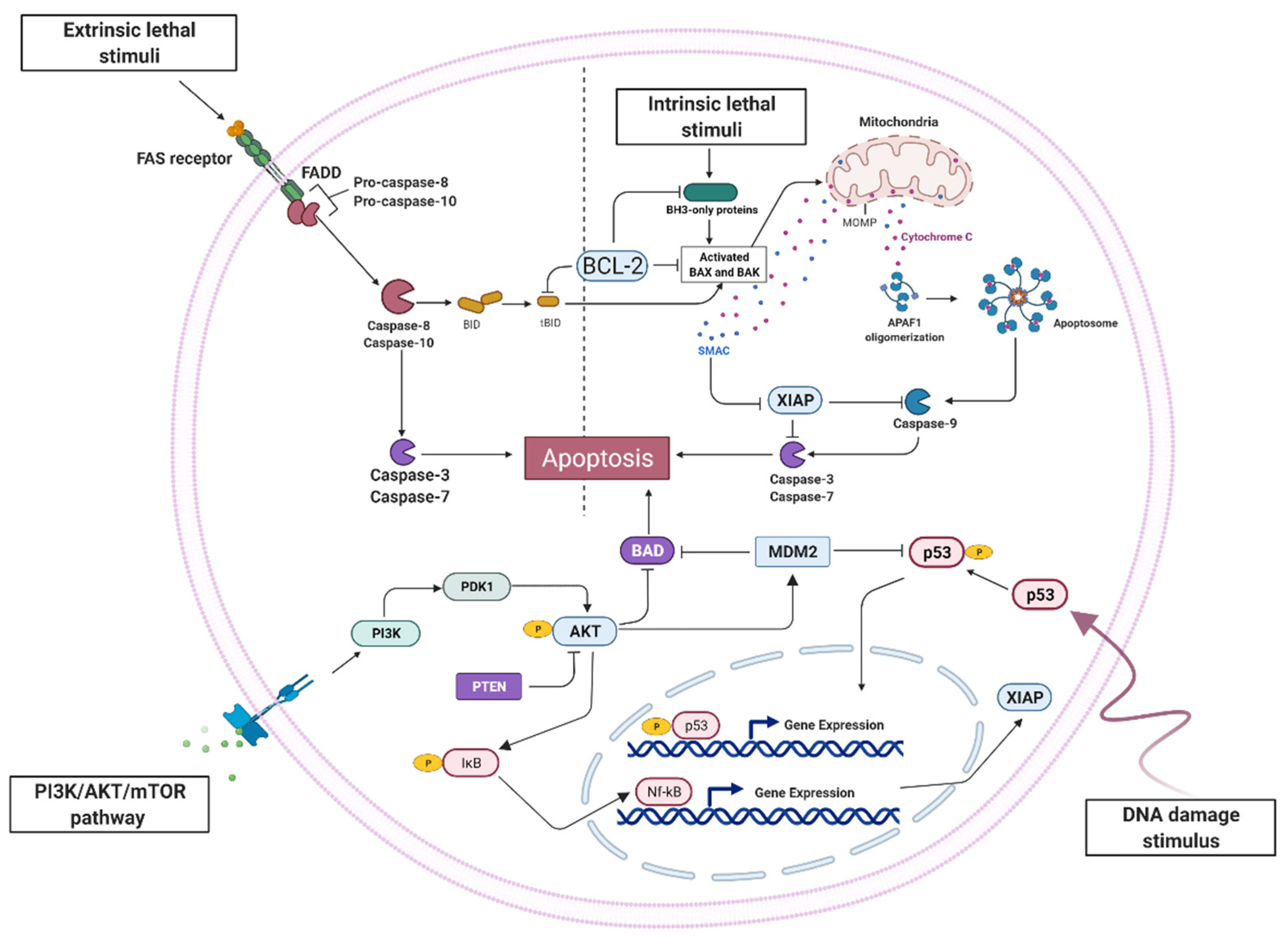 Ijms 23 09272 g001 Ijms 23 09272 g001
