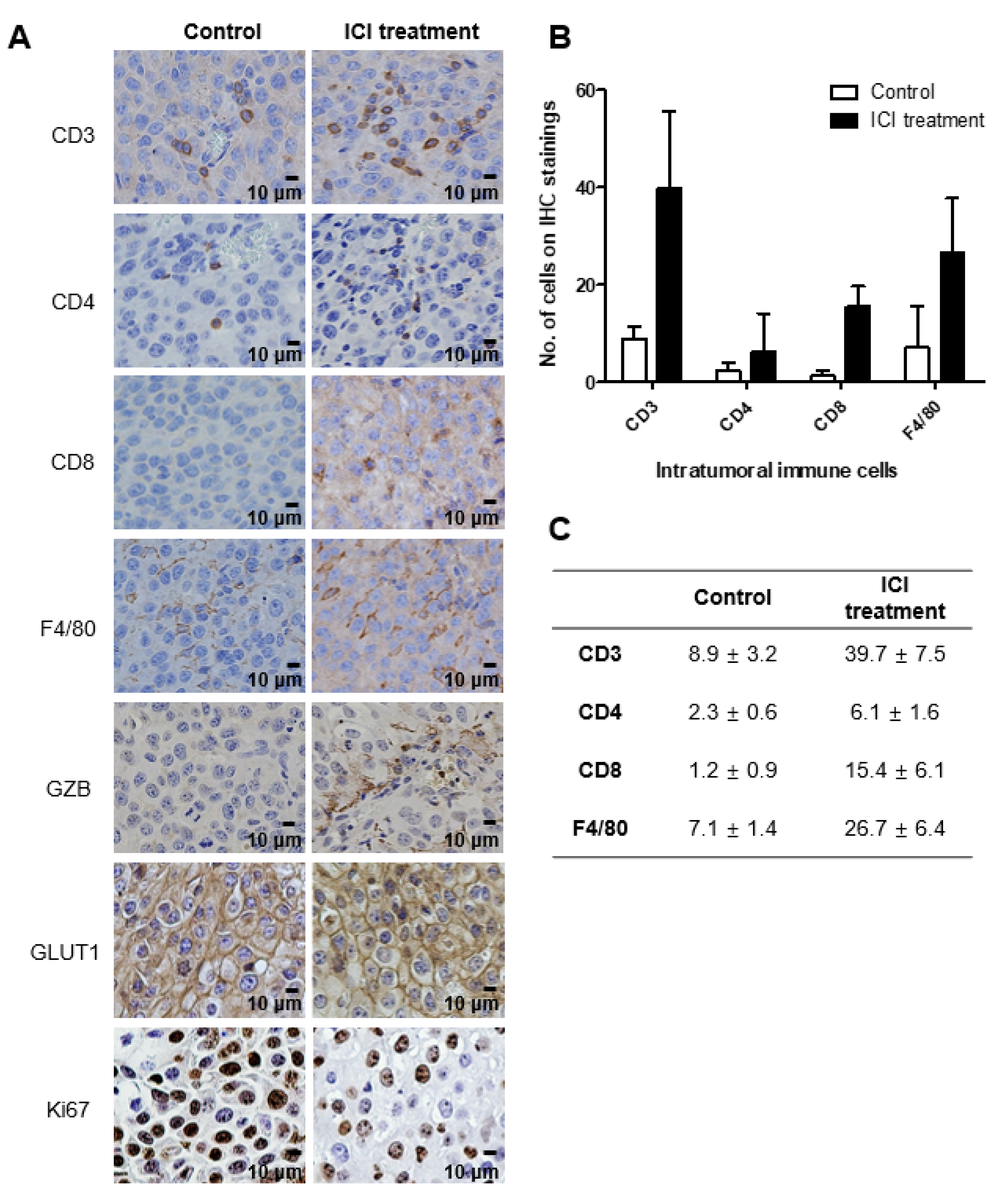 Ijms 23 09273 g005 550