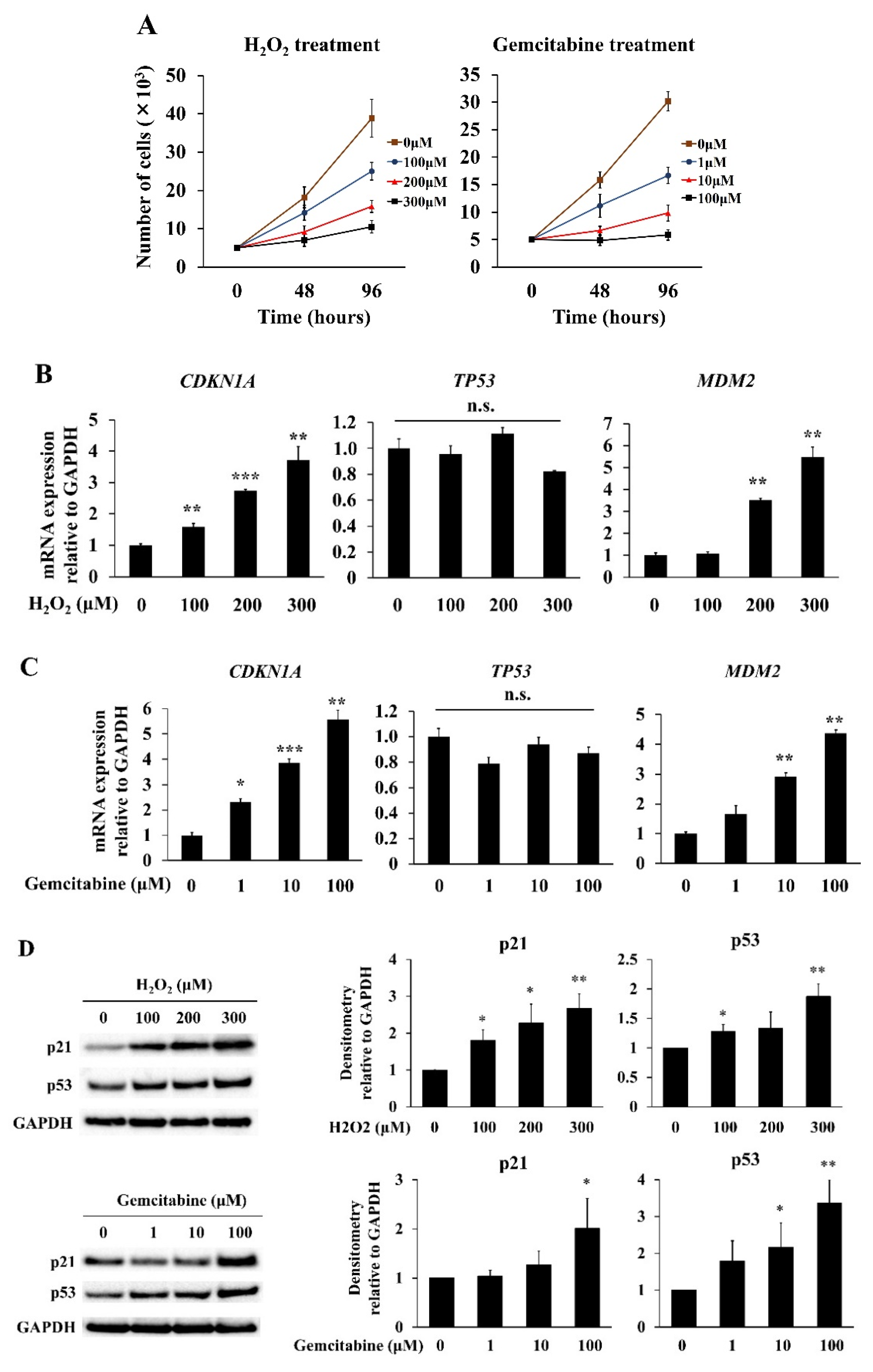 Ijms 23 09275 g001a 550