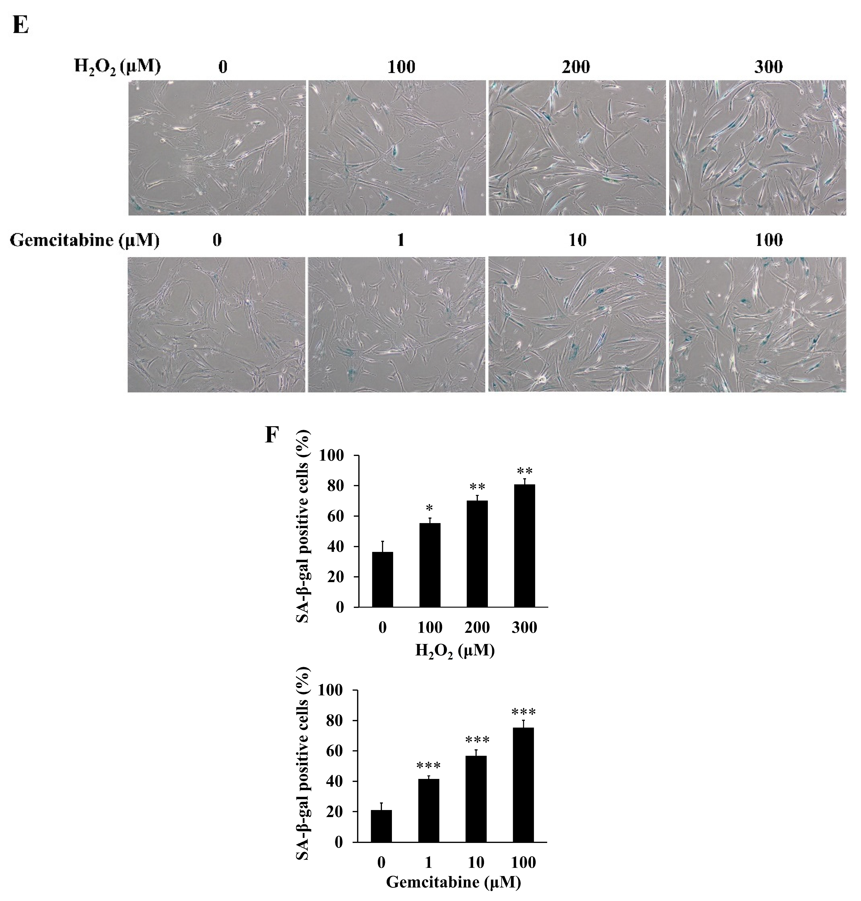 Ijms 23 09275 g001b 550