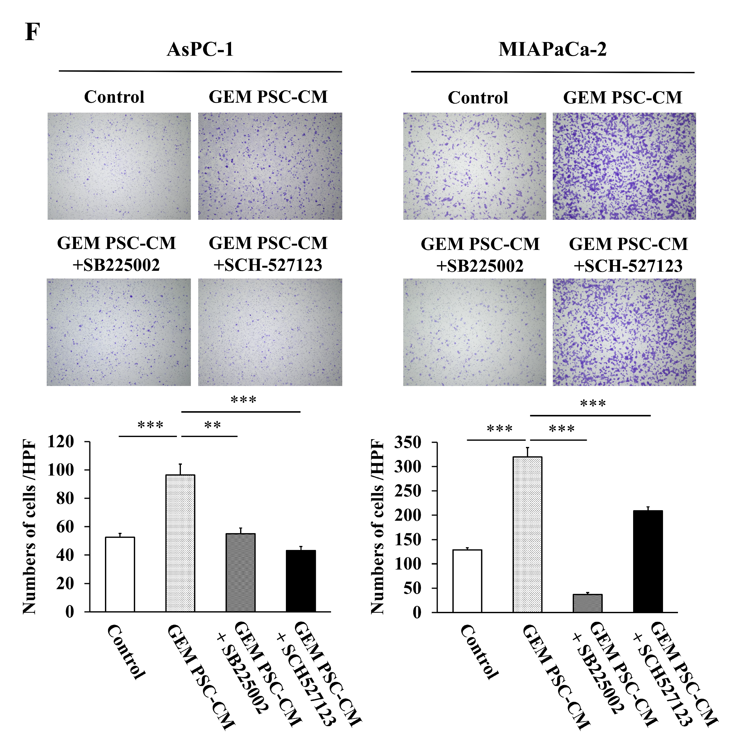 Ijms 23 09275 g005c 550