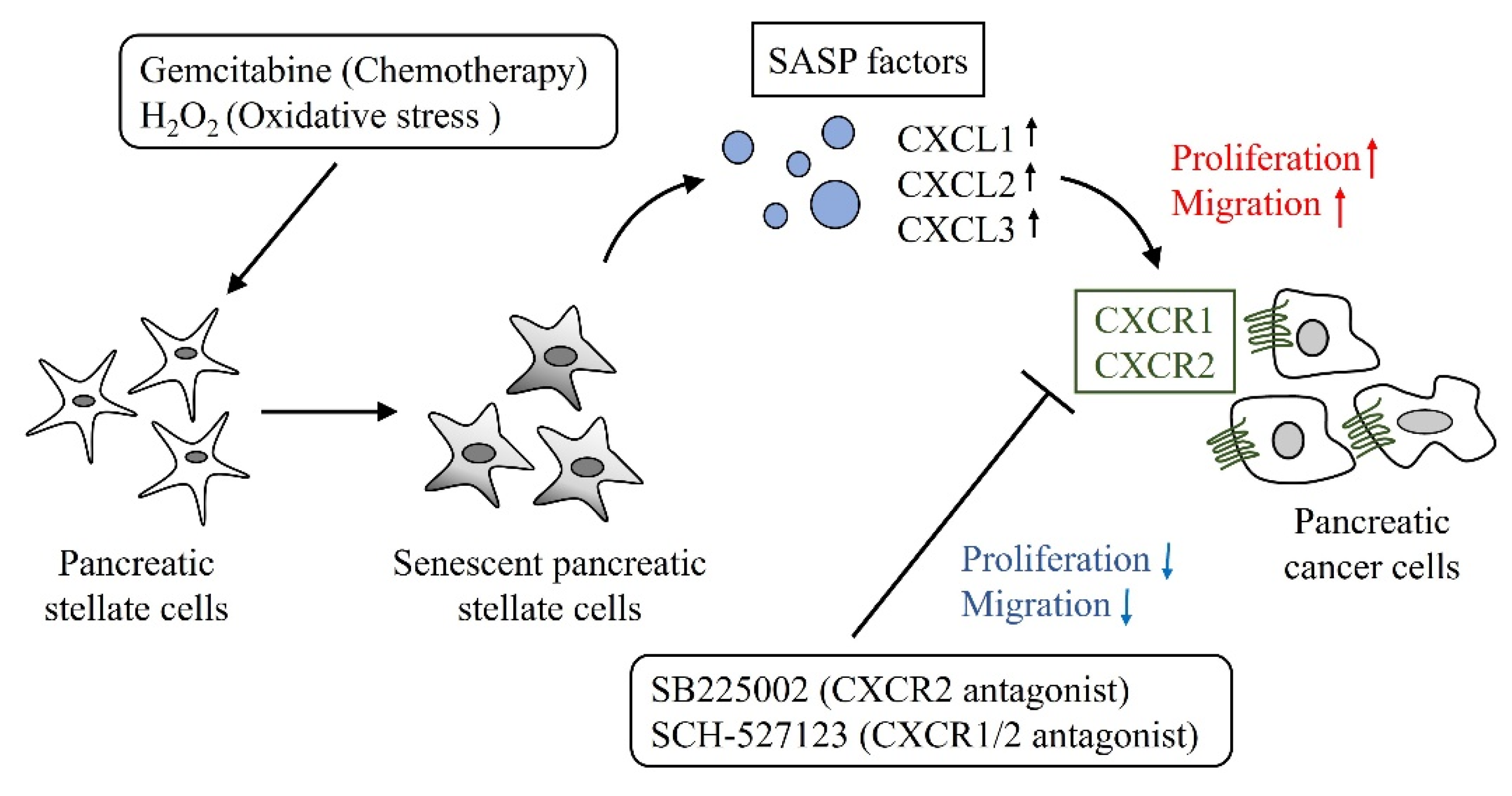 Ijms 23 09275 g006 550