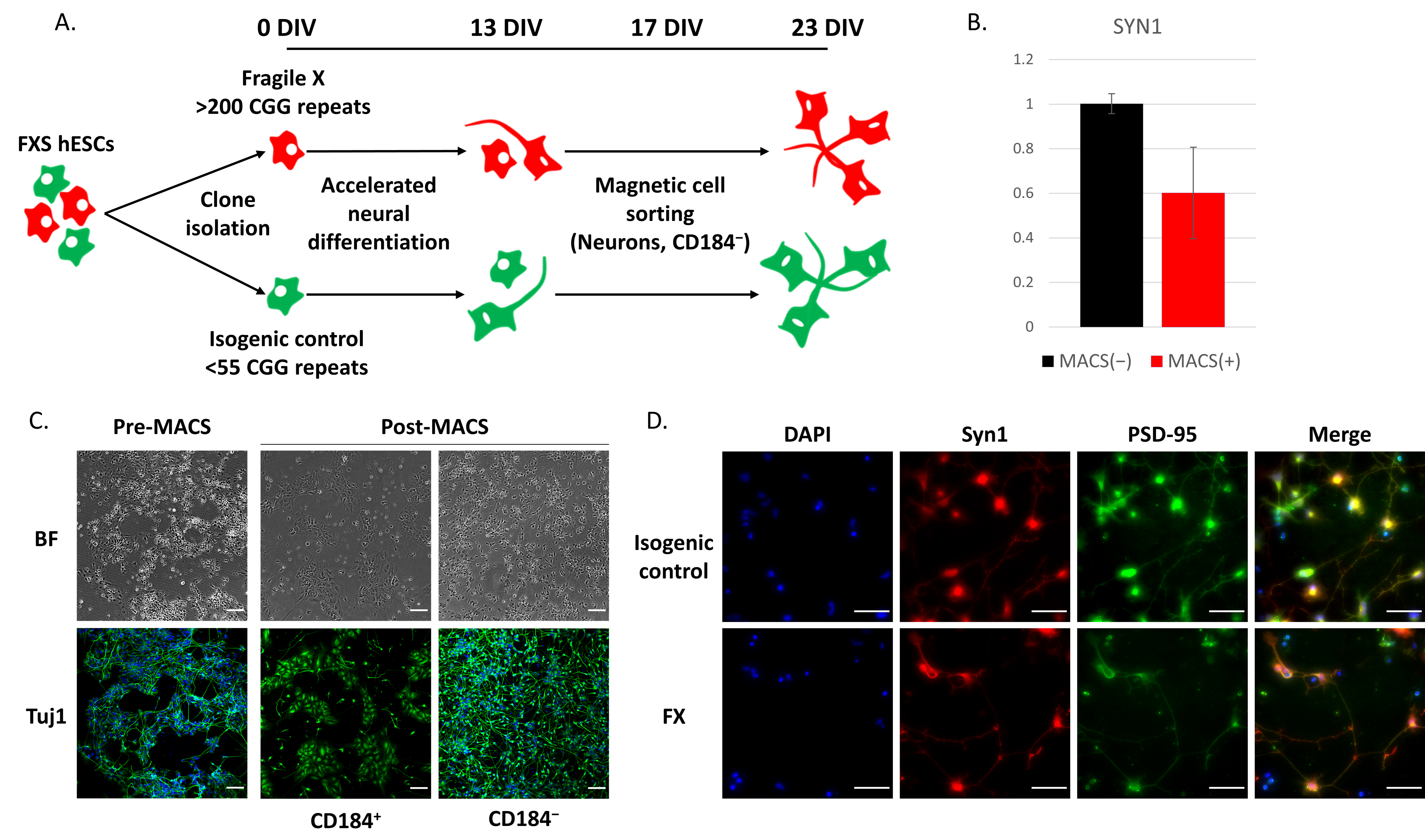 Ijms 23 09278 g002 550