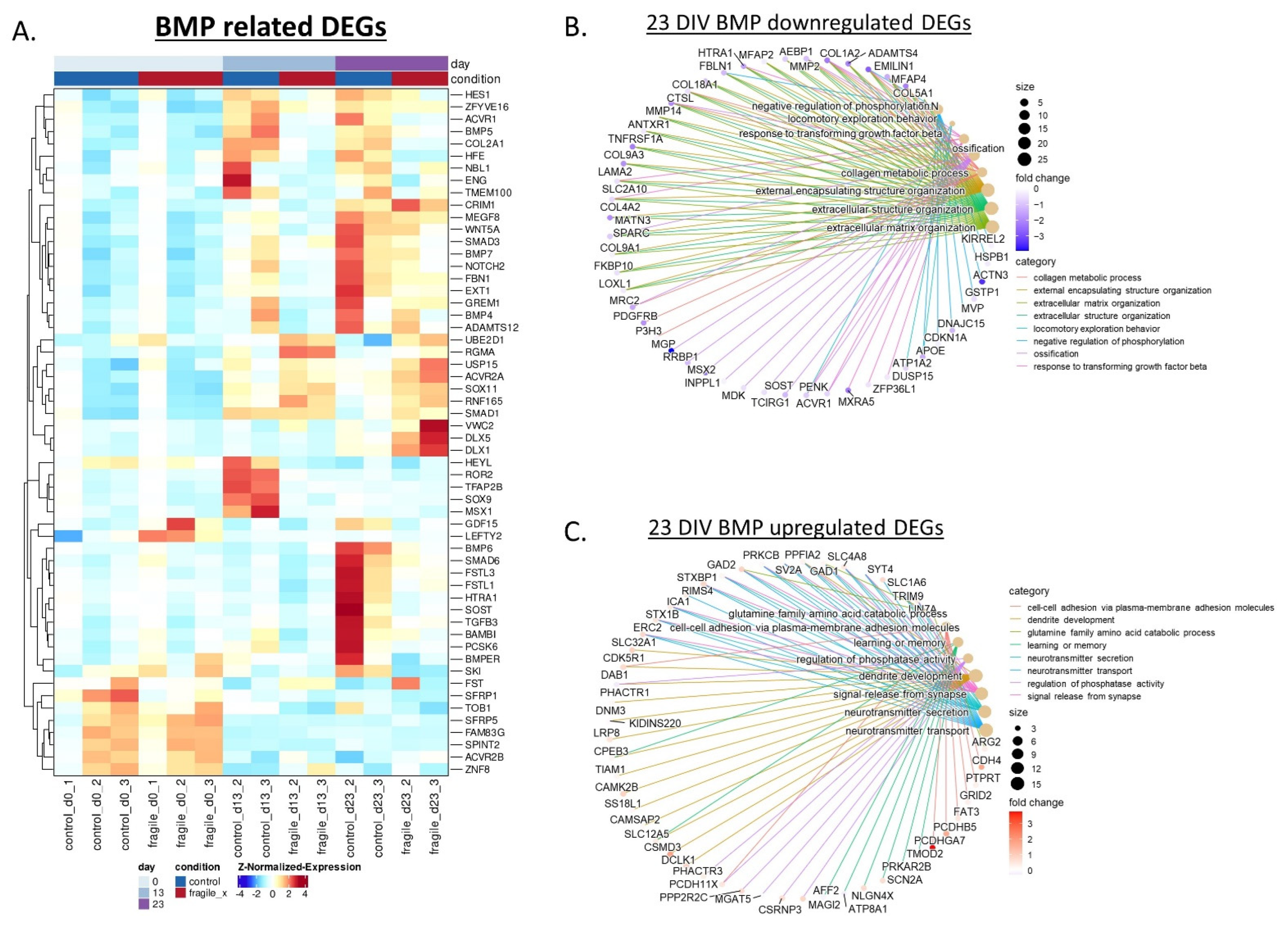 Ijms 23 09278 g004 550