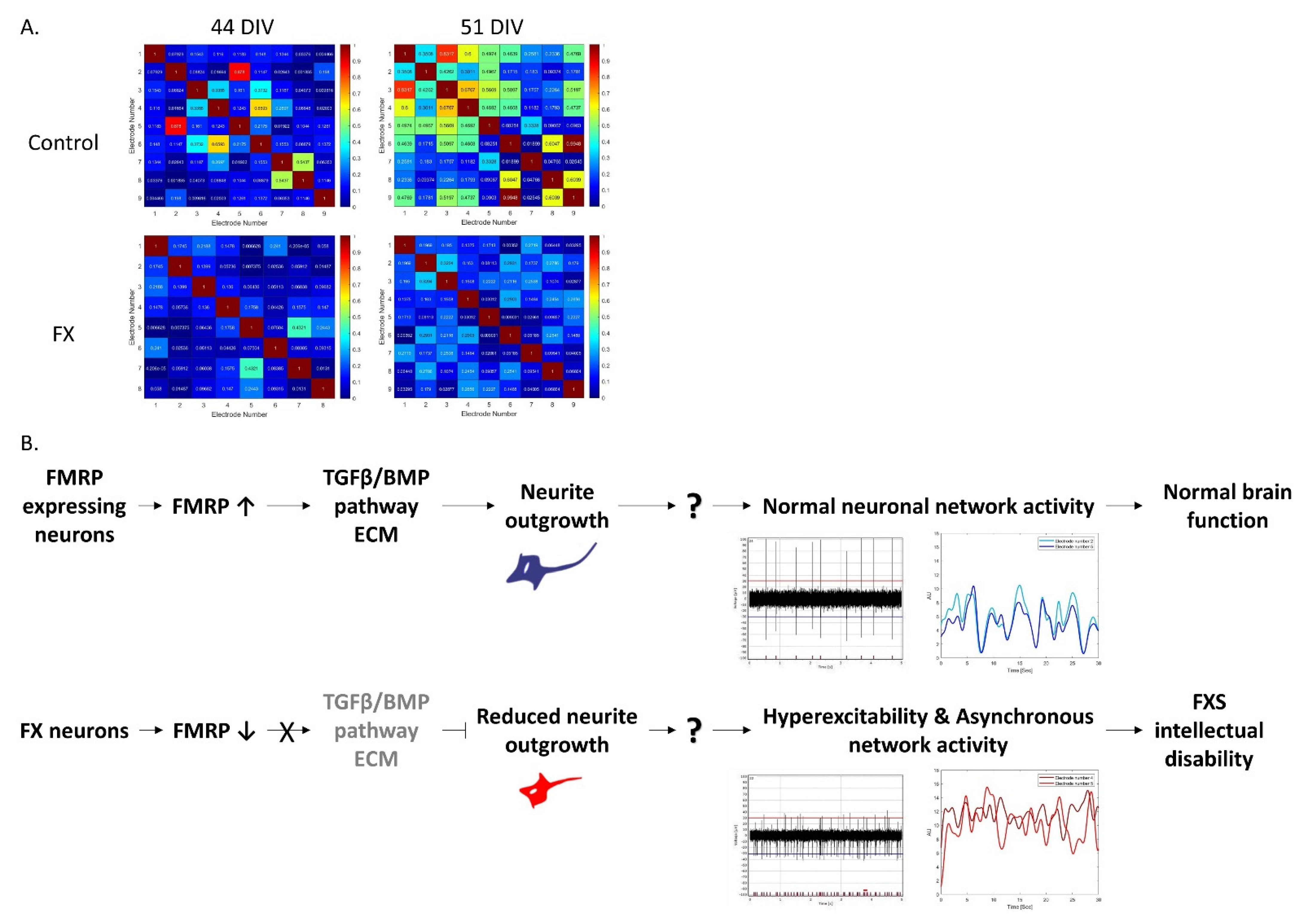 Ijms 23 09278 g006 550
