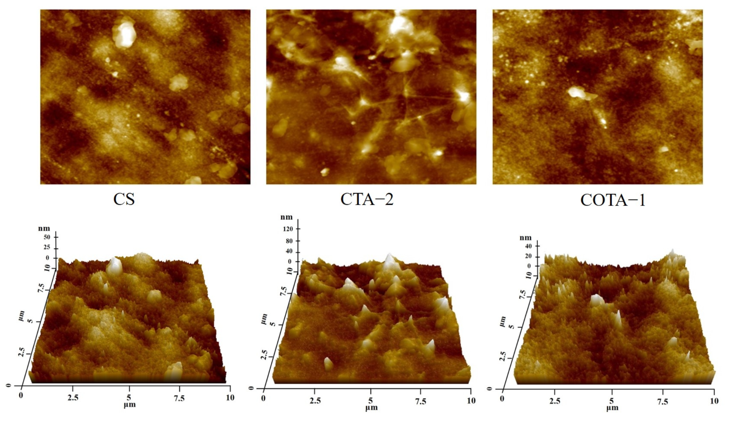 Ijms 23 09284 g010 550