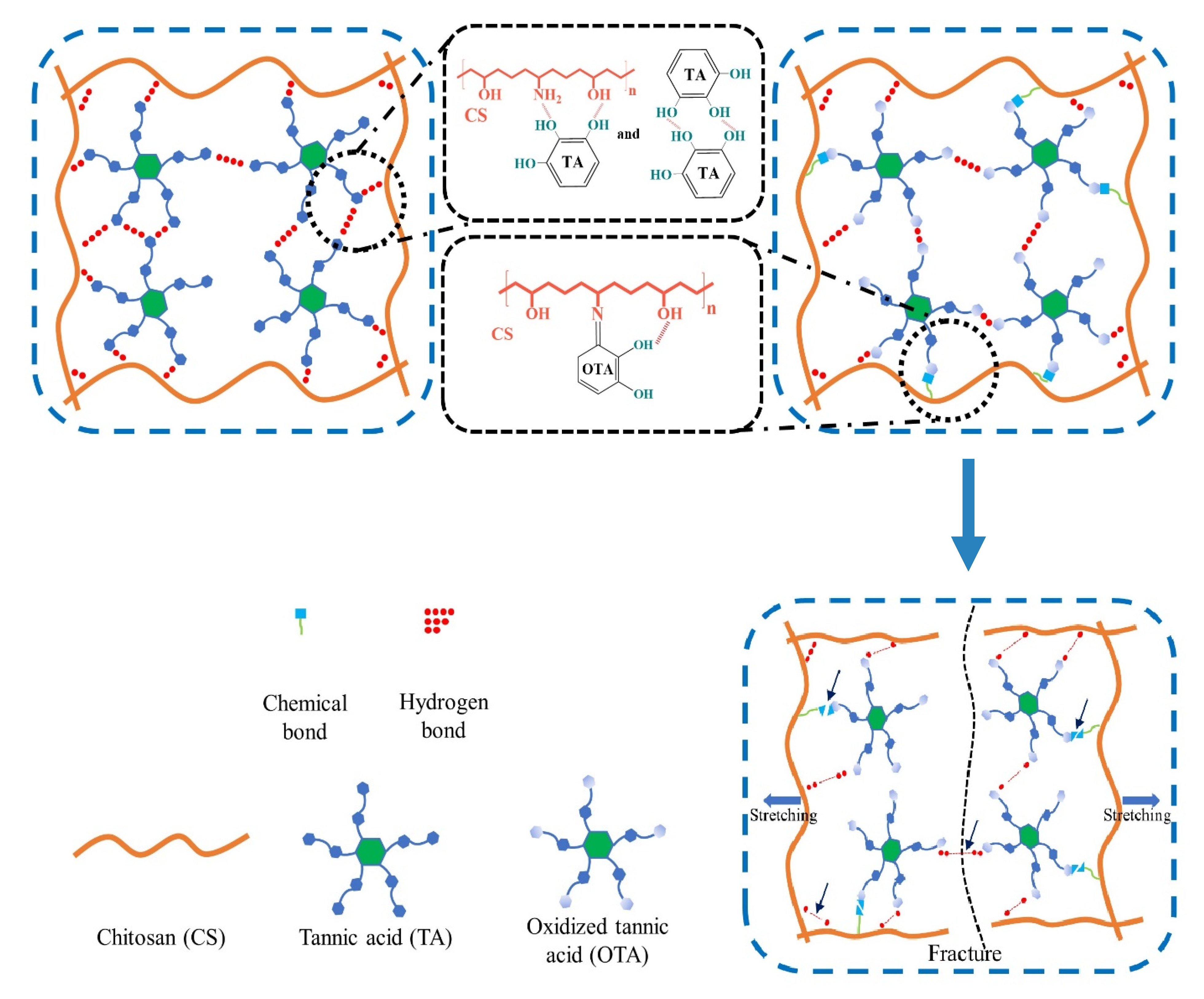 Ijms 23 09284 sch001 550