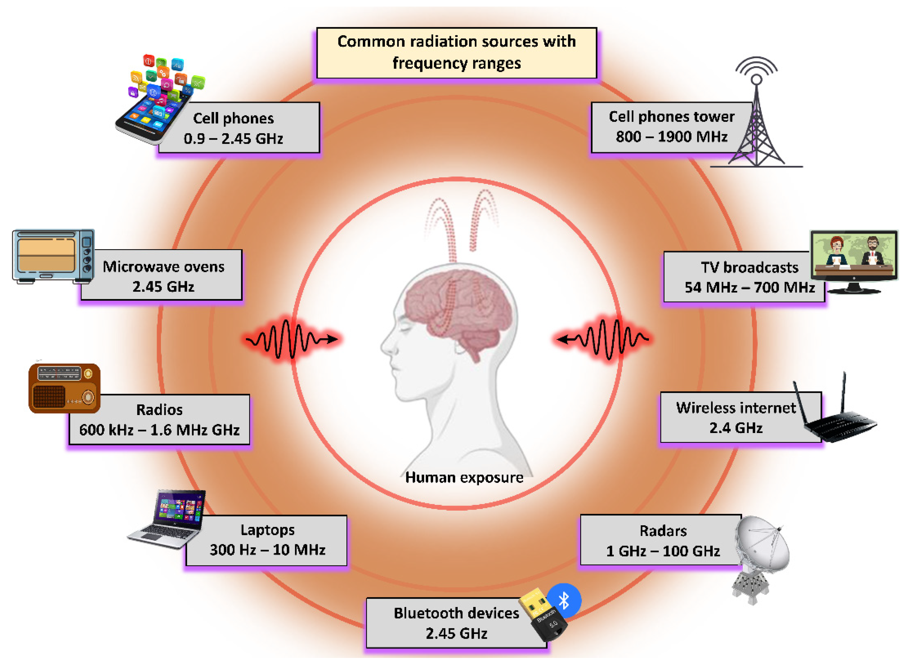 IJMS | Free Full-Text | Microwave Radiation and the Brain: Mechanisms,  Current Status, and Future Prospects