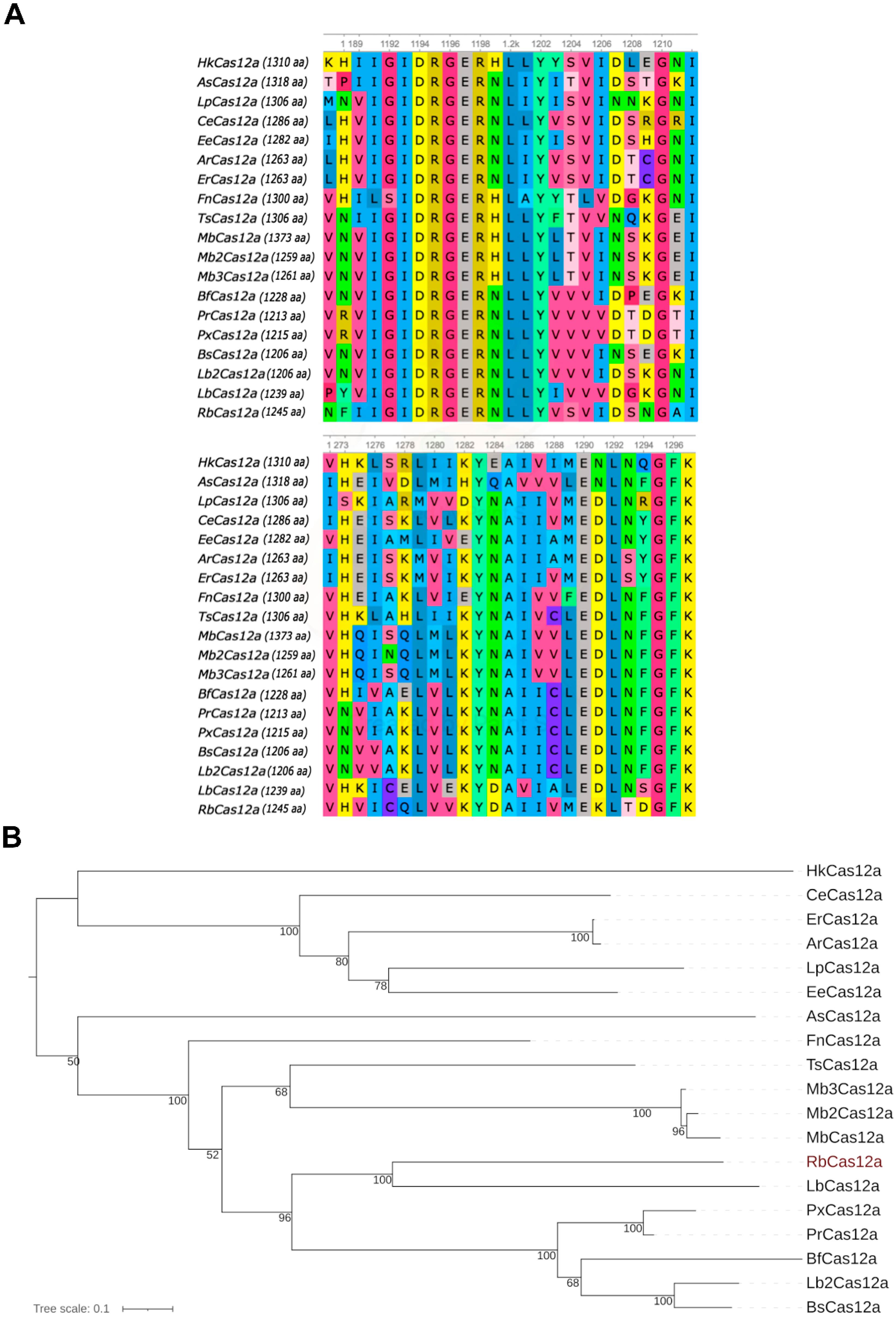 Ijms 23 09289 g001 550