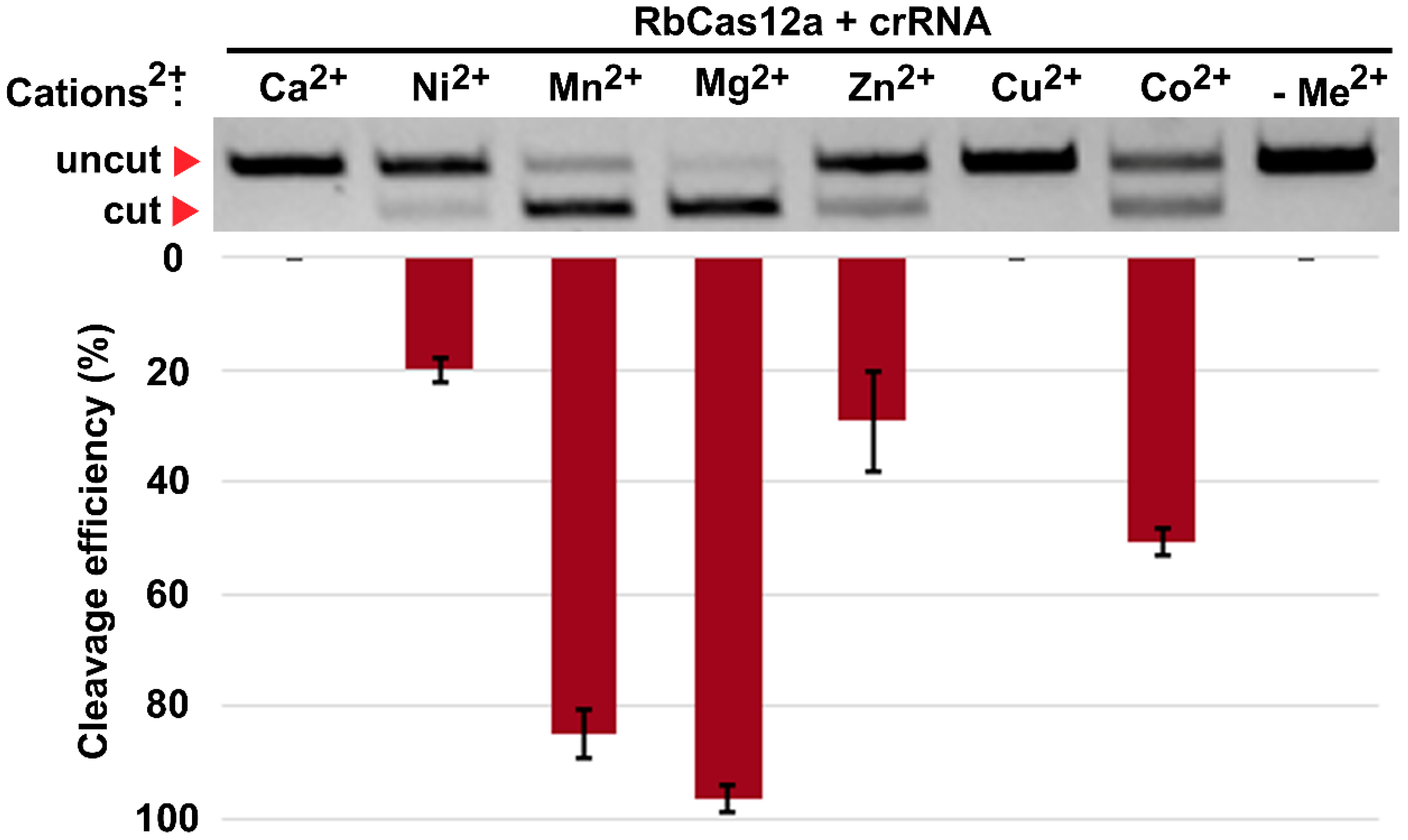 Ijms 23 09289 g002 550