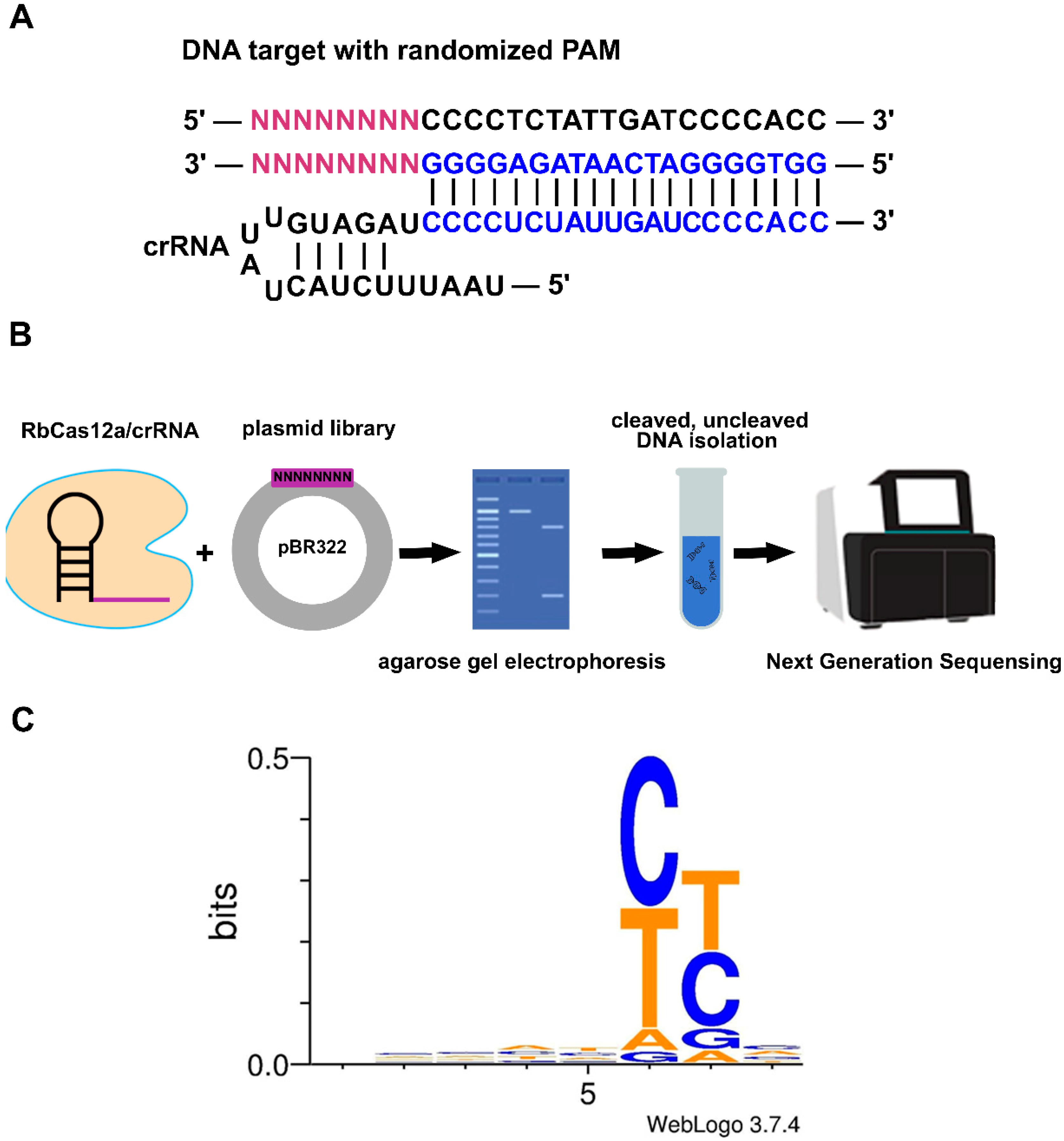 Ijms 23 09289 g003 550