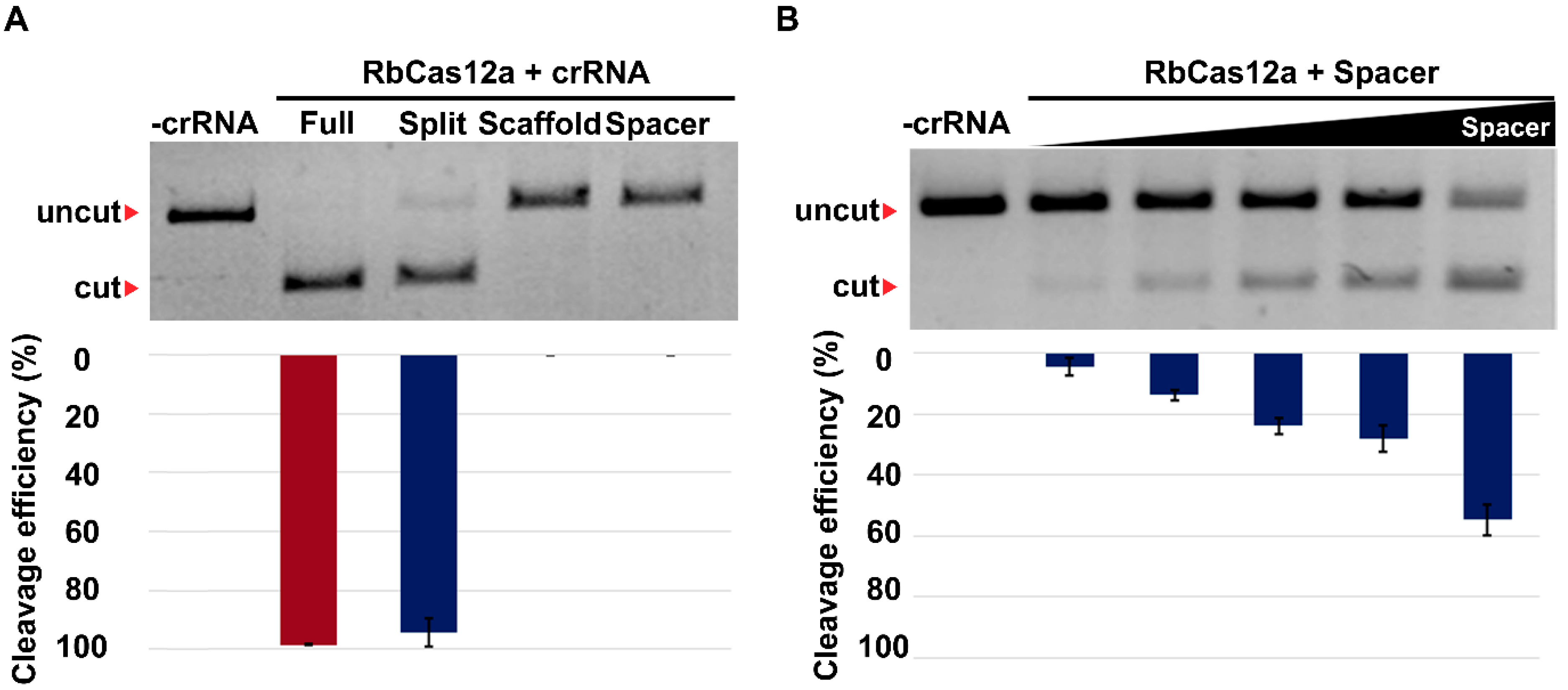 Ijms 23 09289 g006 550