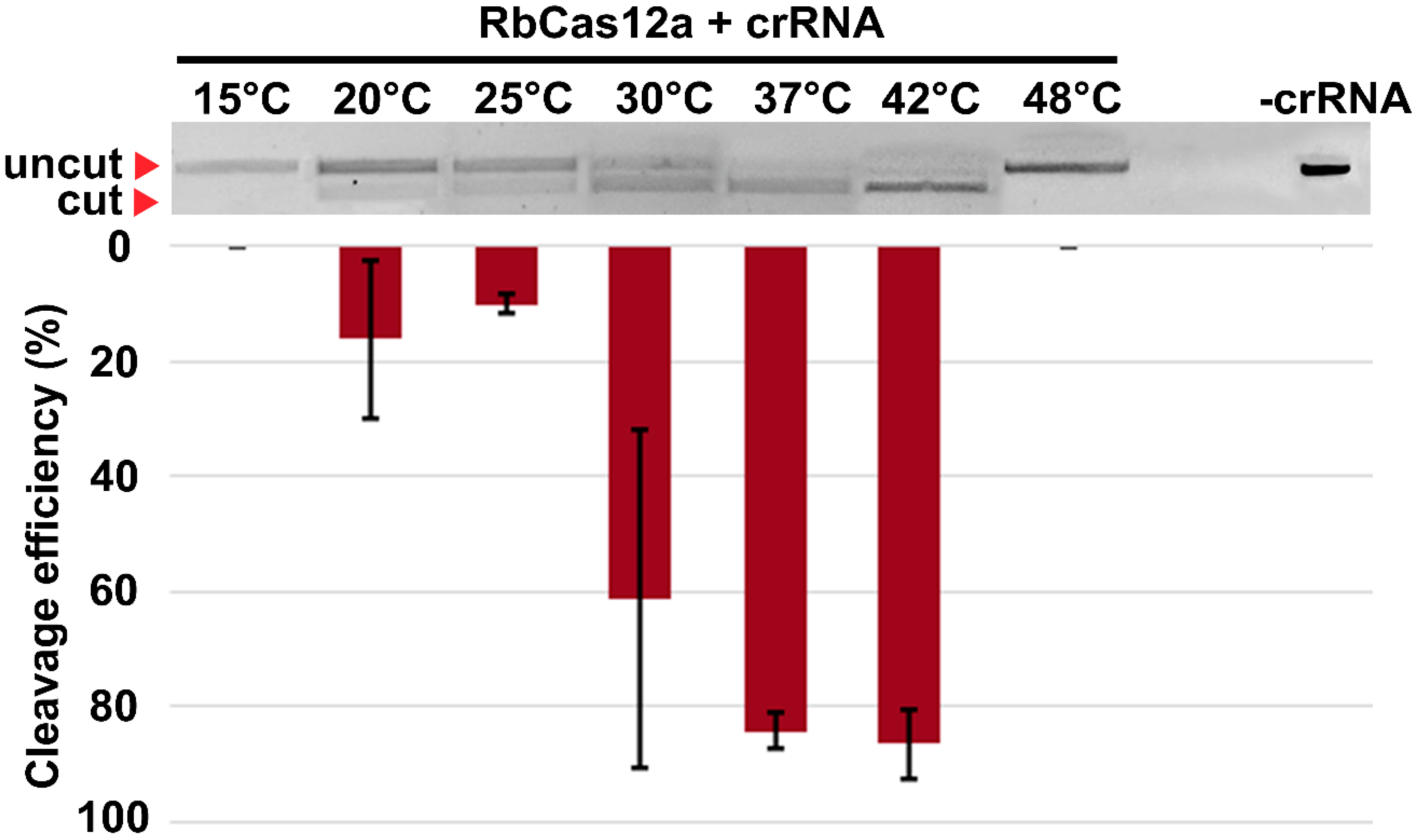 Ijms 23 09289 g008 550