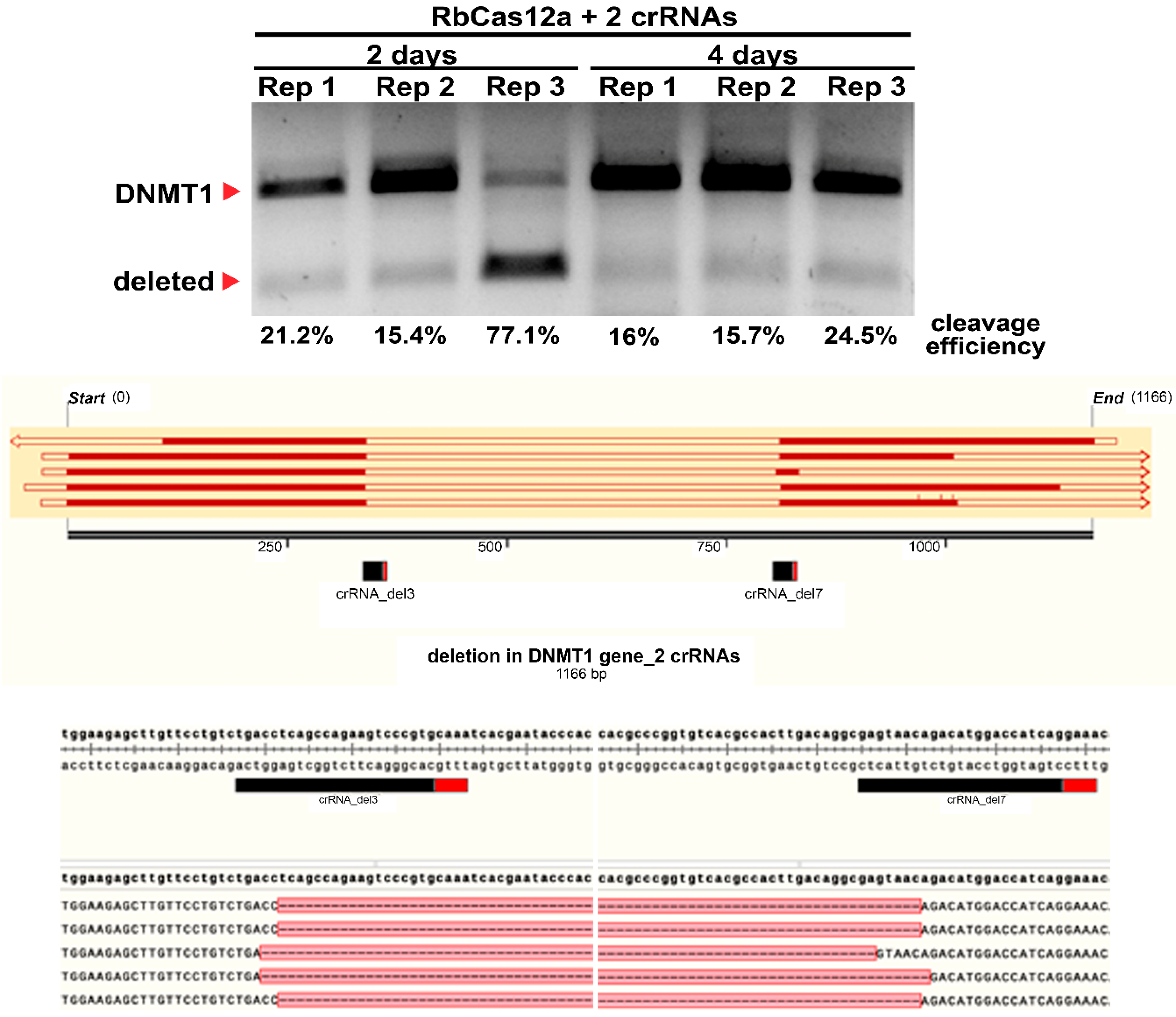 Ijms 23 09289 g009 550