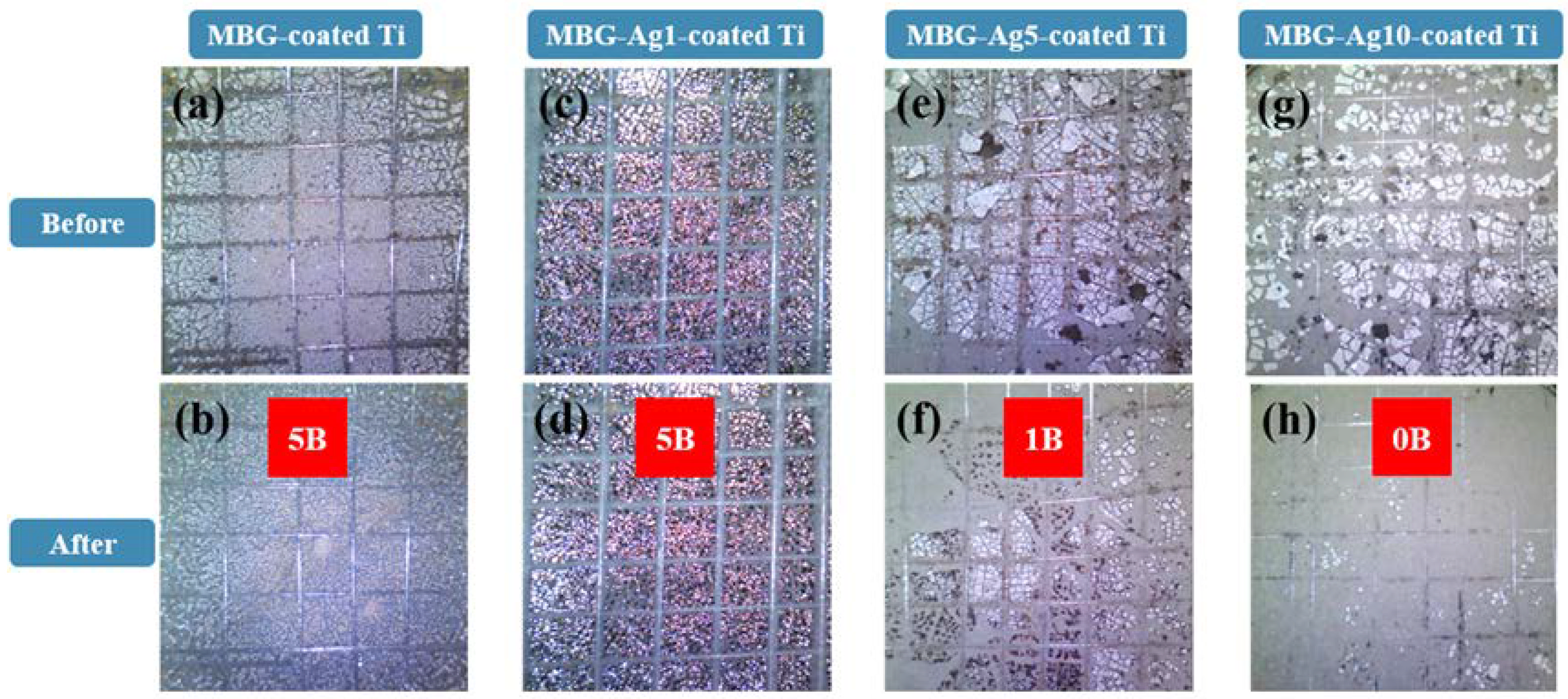 Ijms 23 09291 g002 550