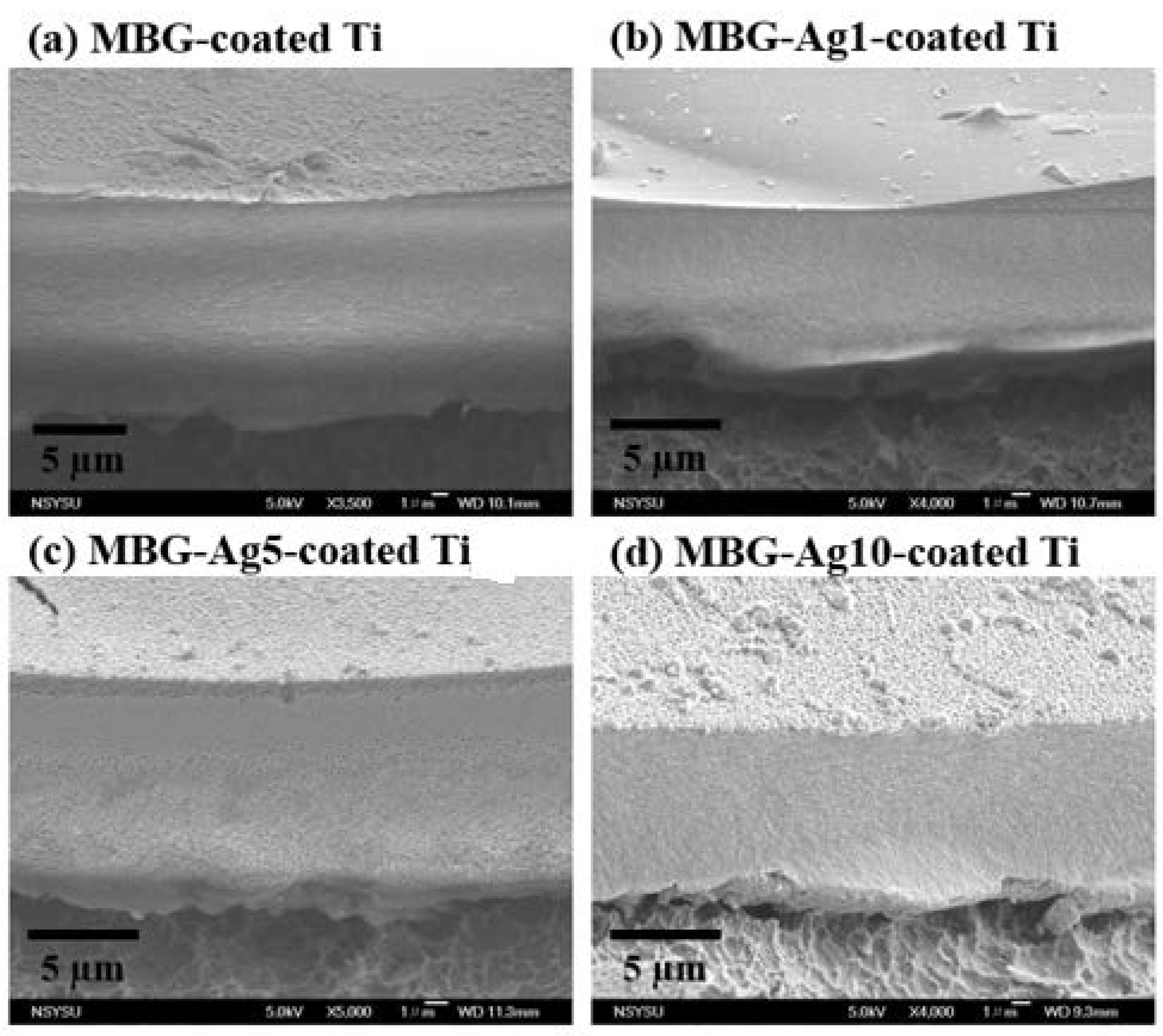 Ijms 23 09291 g006 550