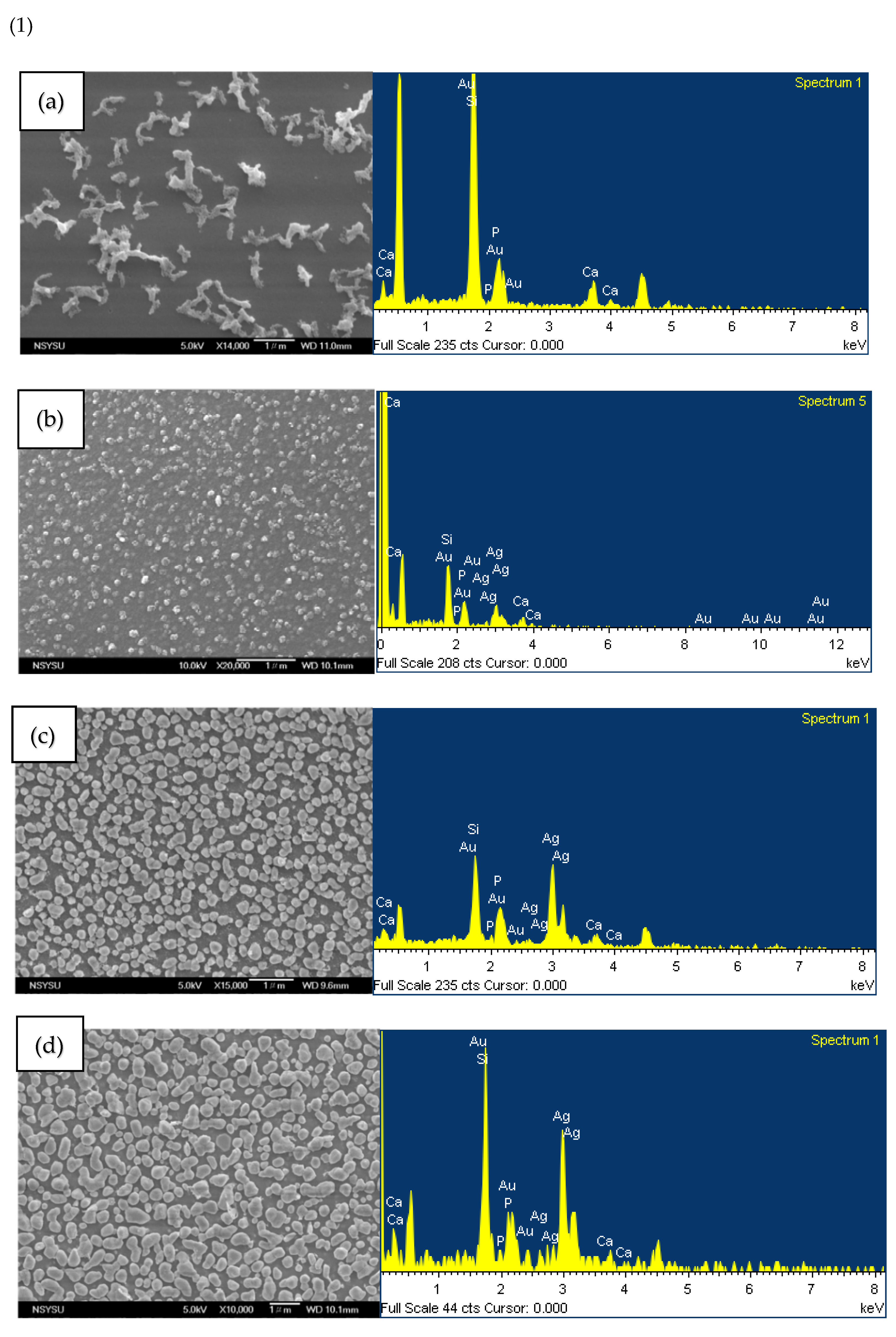 Ijms 23 09291 g007a 550