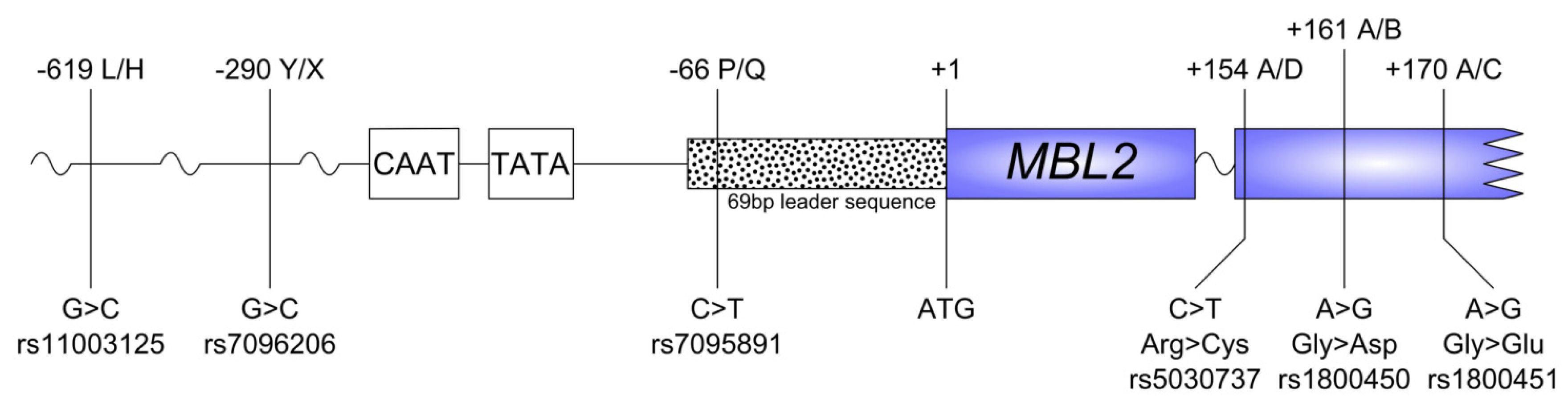 Ijms 23 09292 g001 Ijms 23 09292 g001