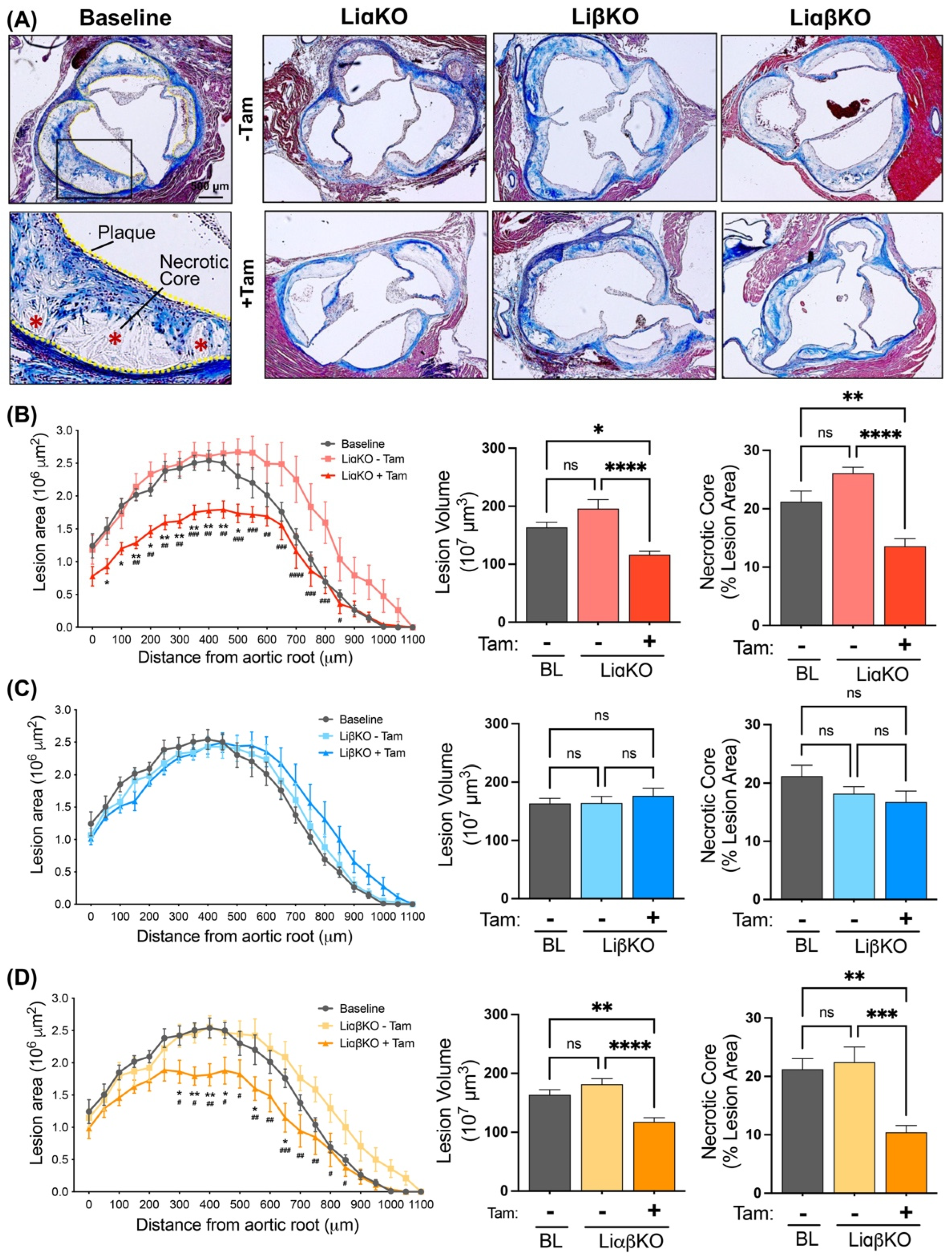 Ijms 23 09293 g001 550