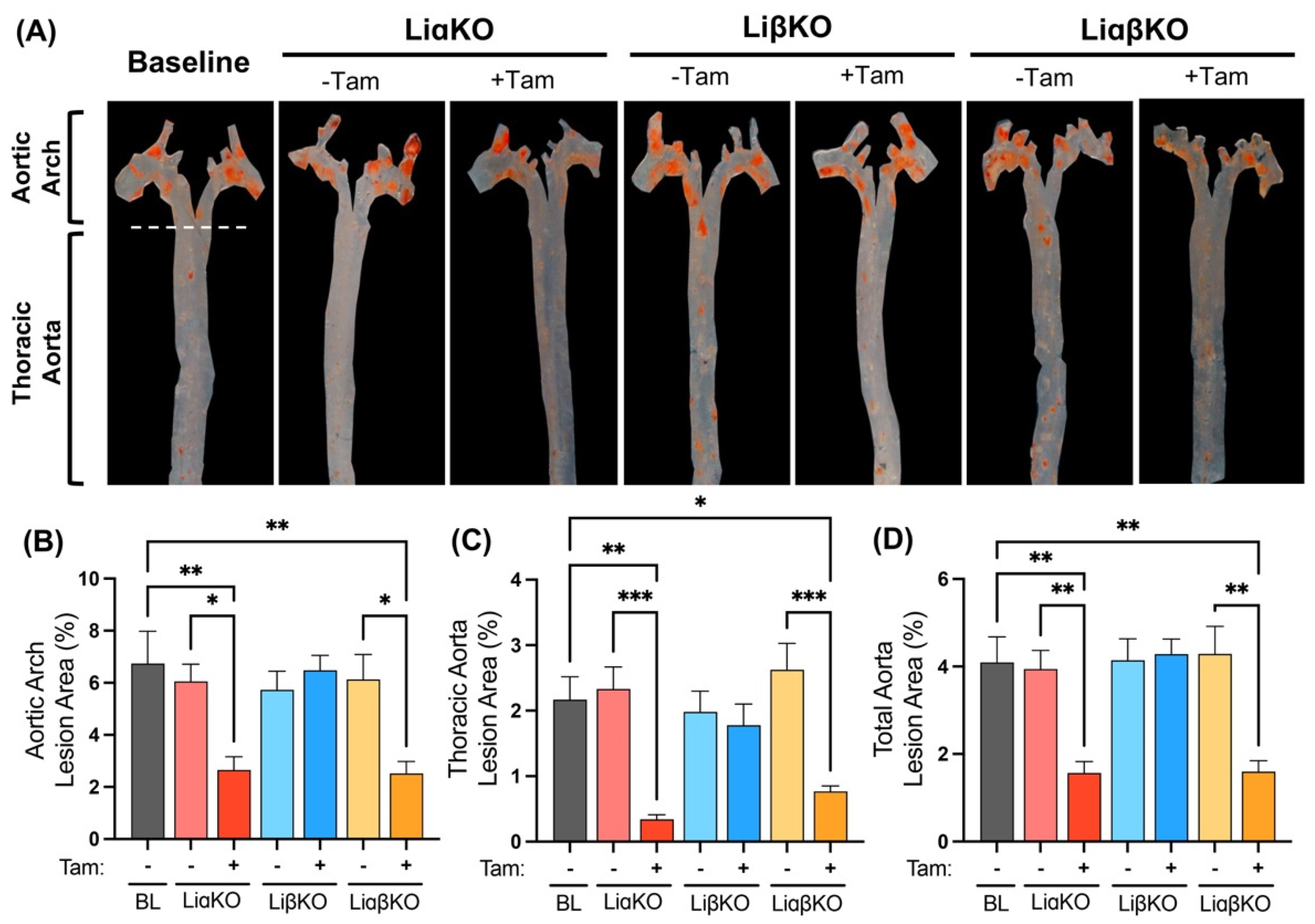 Ijms 23 09293 g002 550