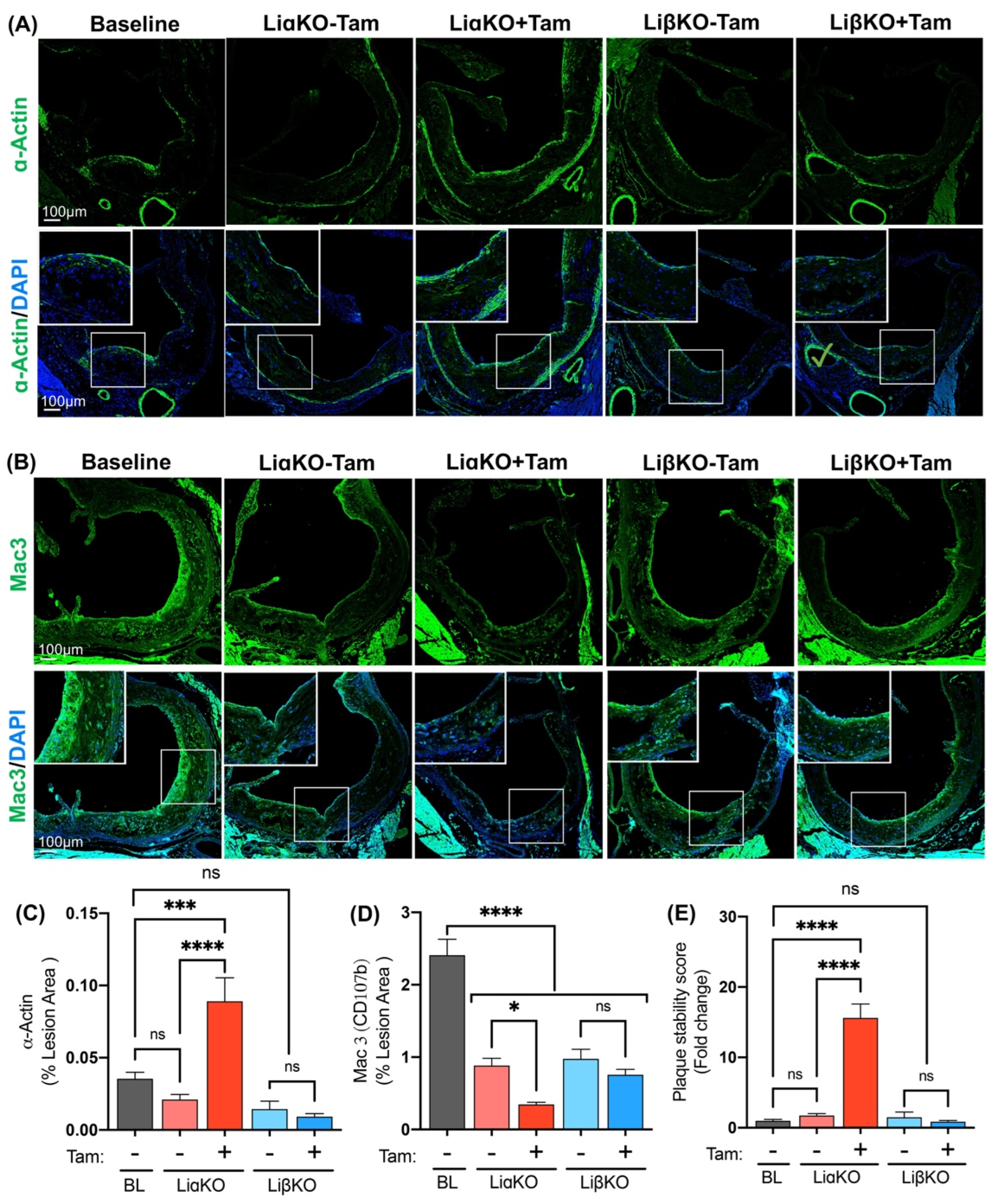 Ijms 23 09293 g003 550