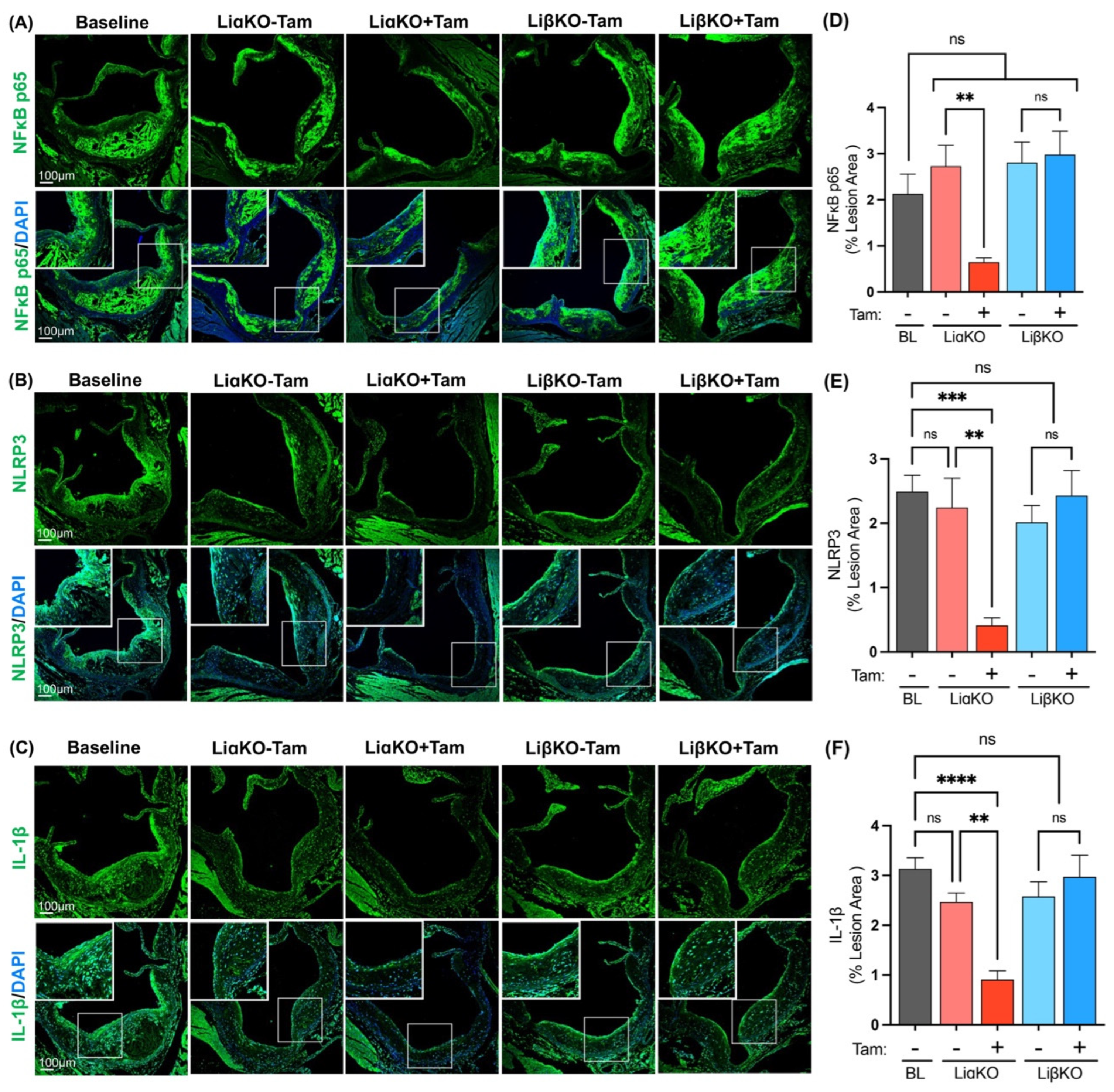 Ijms 23 09293 g004 550