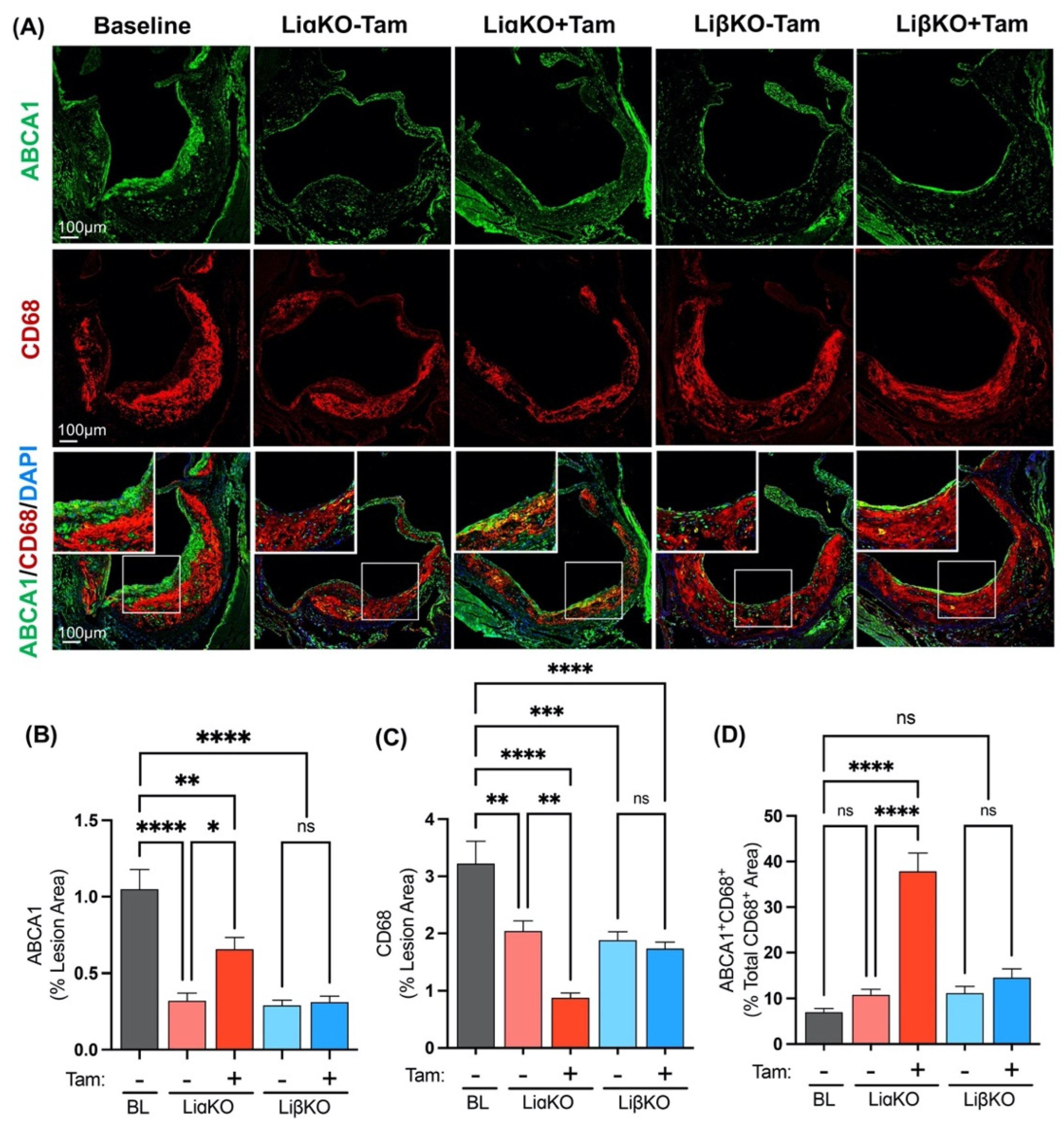 Ijms 23 09293 g005 550