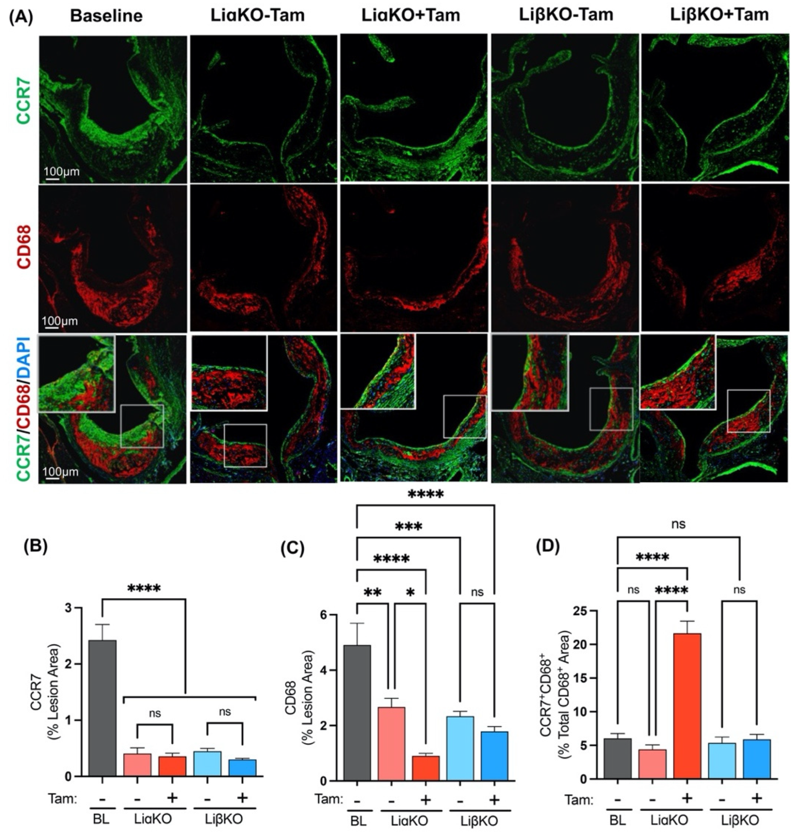 Ijms 23 09293 g006 550