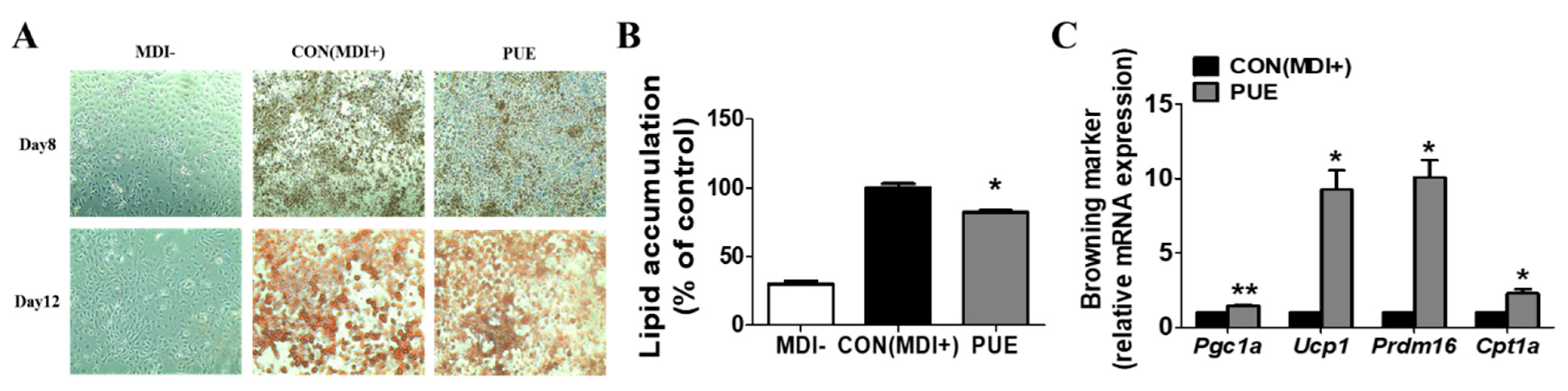 Ijms 23 09295 g001 Ijms 23 09295 g001