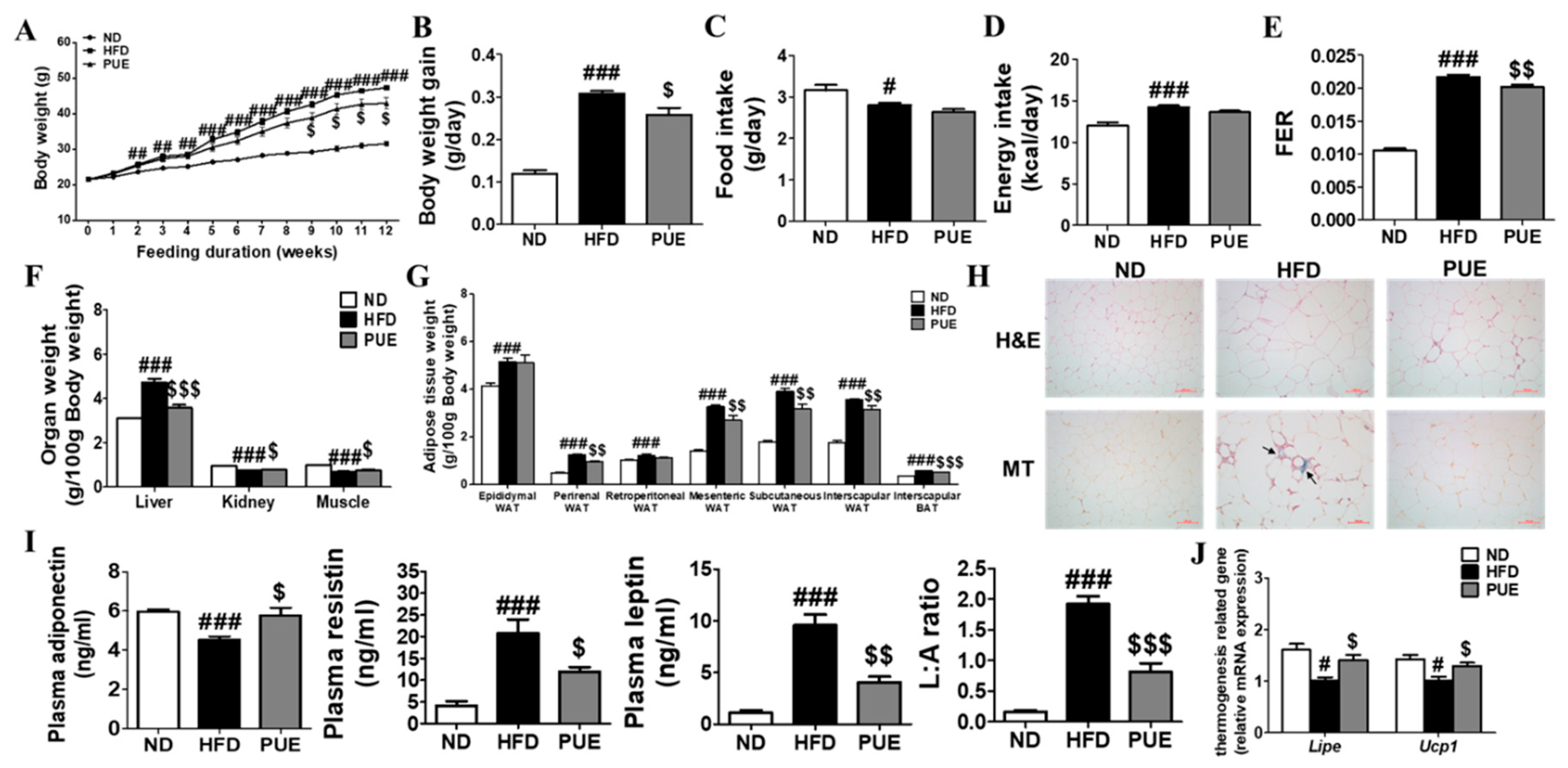 Ijms 23 09295 g002 Ijms 23 09295 g002