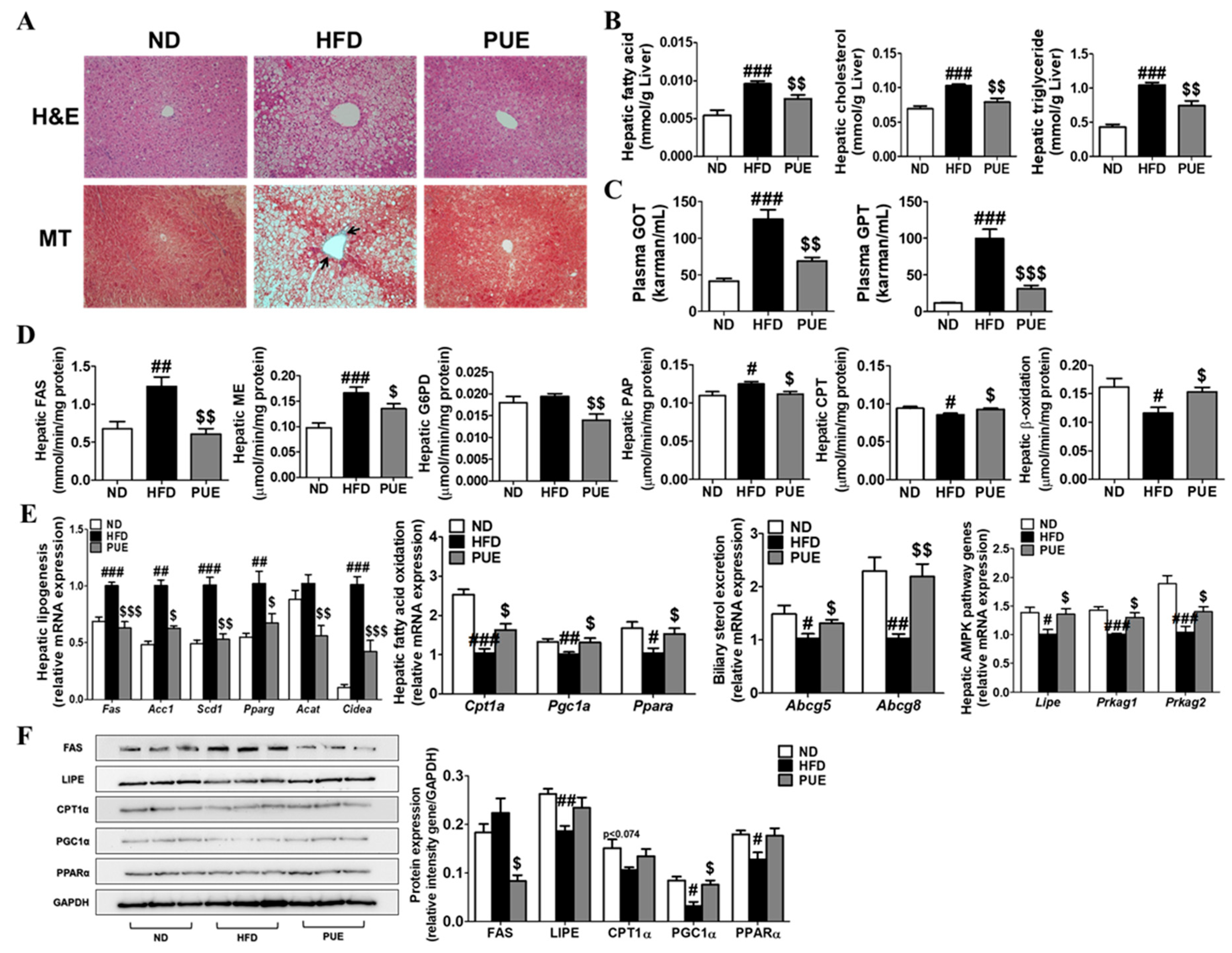 Ijms 23 09295 g005 Ijms 23 09295 g005