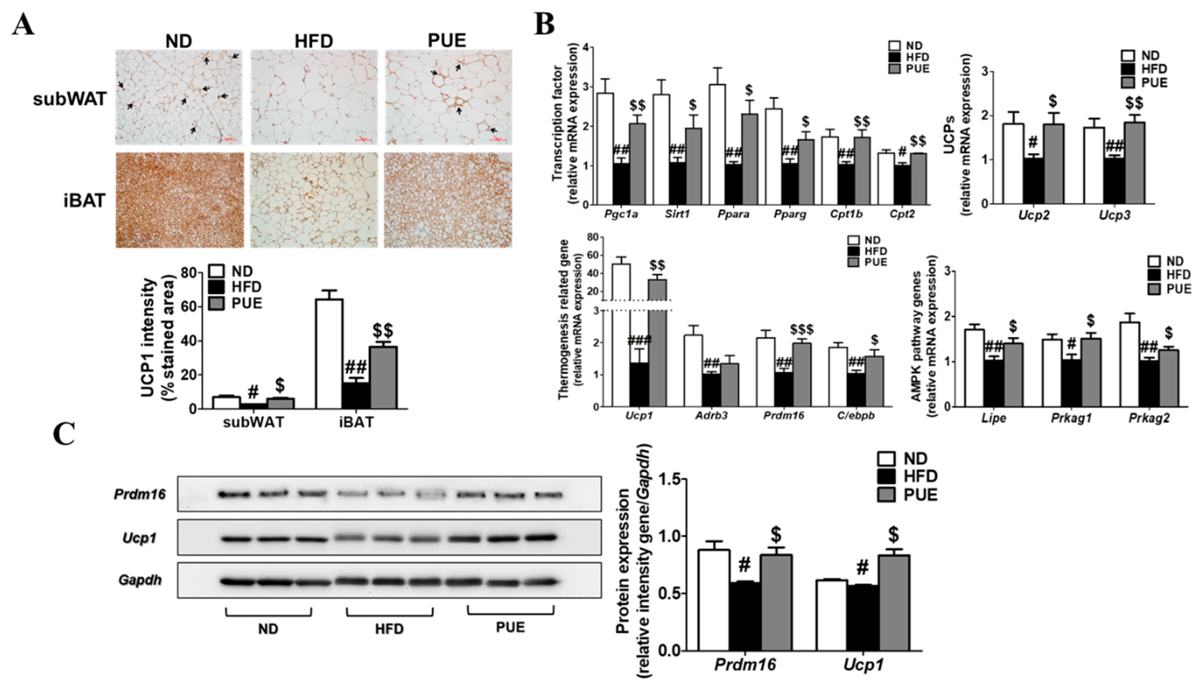 Ijms 23 09295 g006 Ijms 23 09295 g006