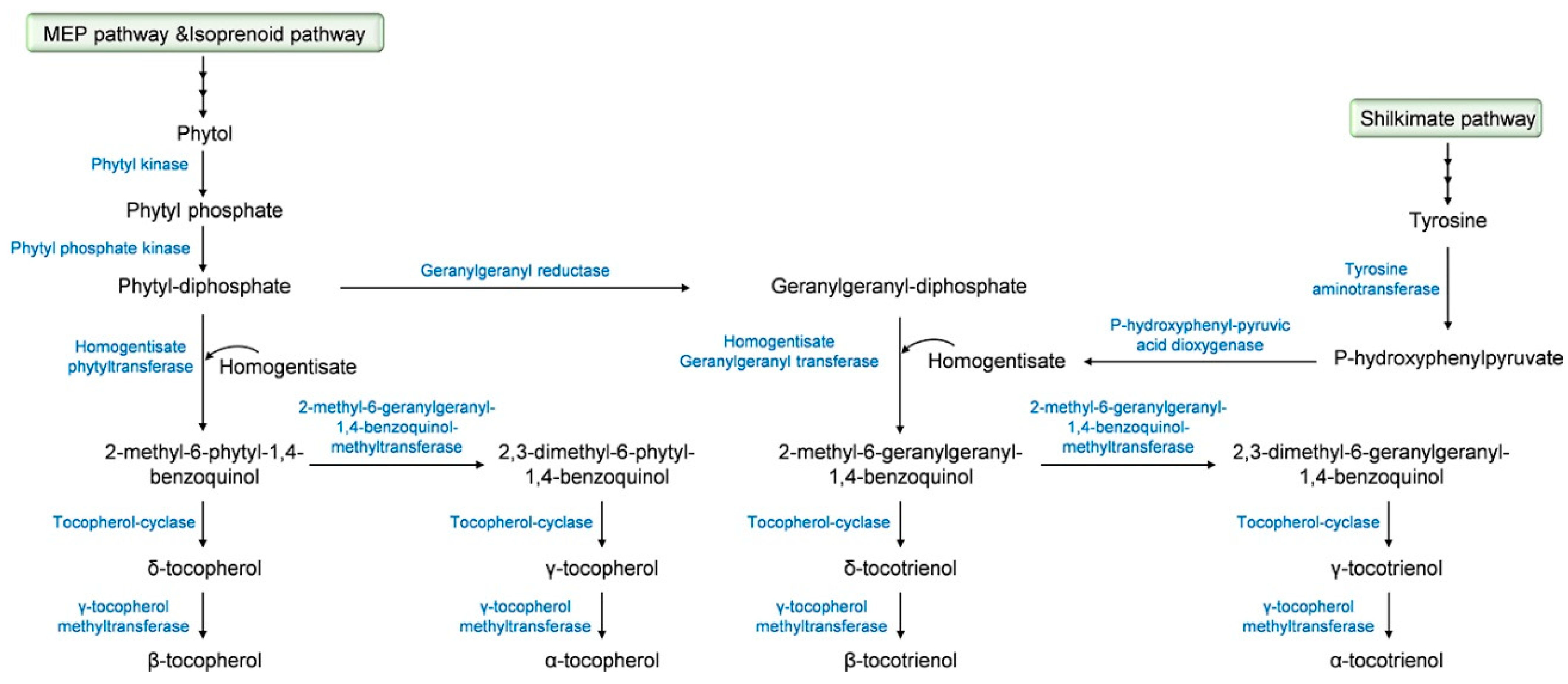 Ijms 23 09303 g002 550