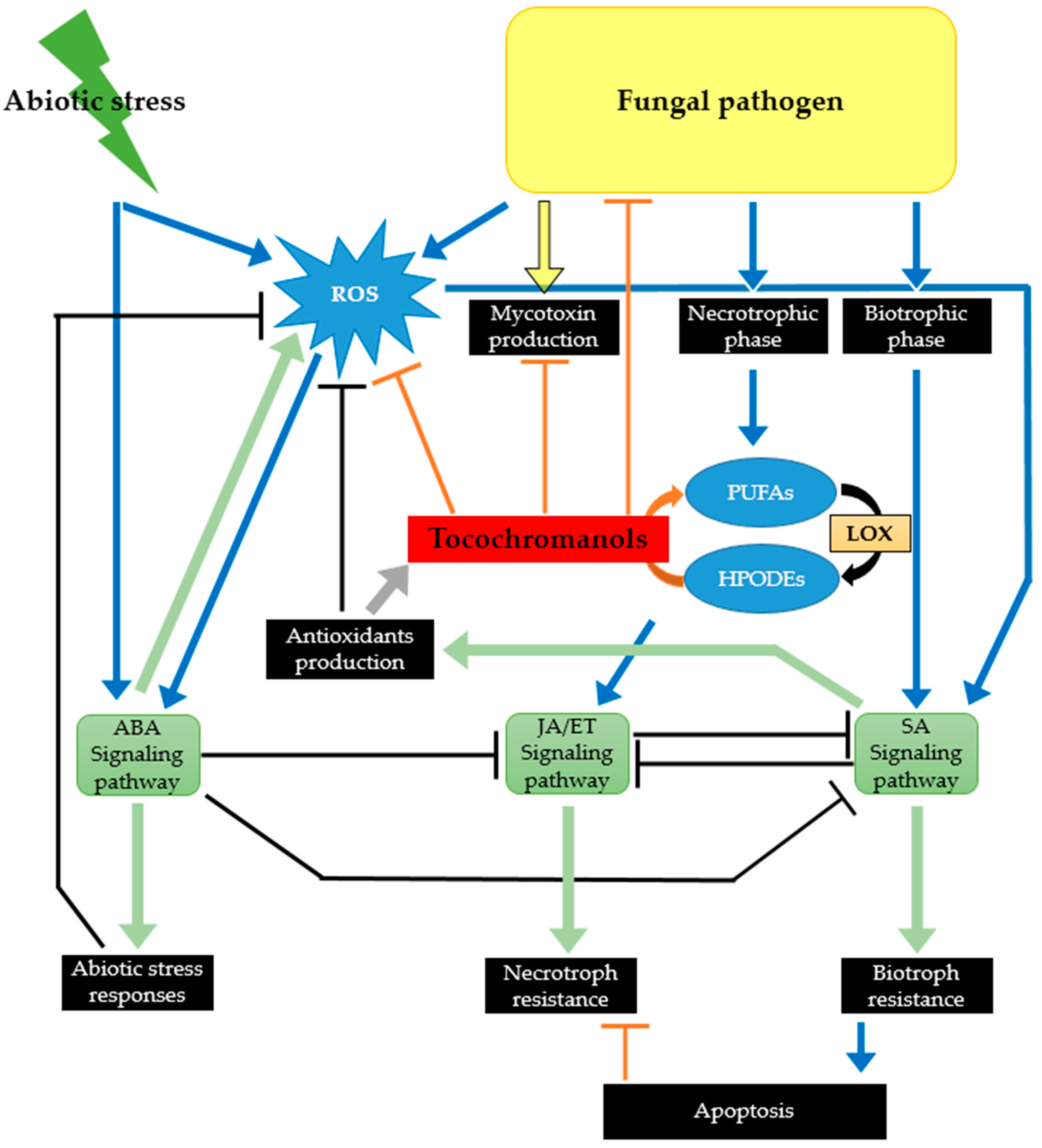 Ijms 23 09303 g004 550