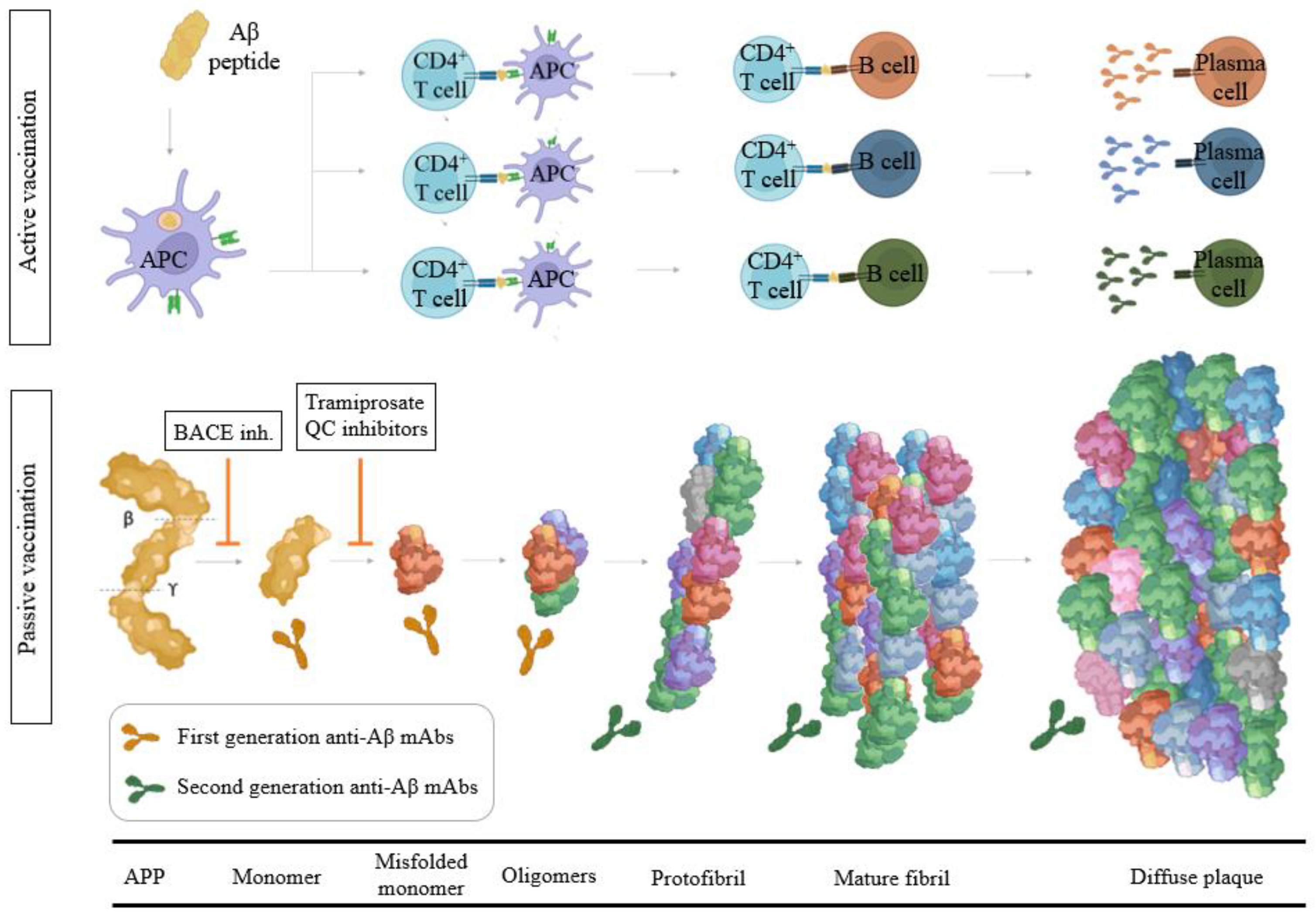 Inside the hunt for an Alzheimer's disease vaccine