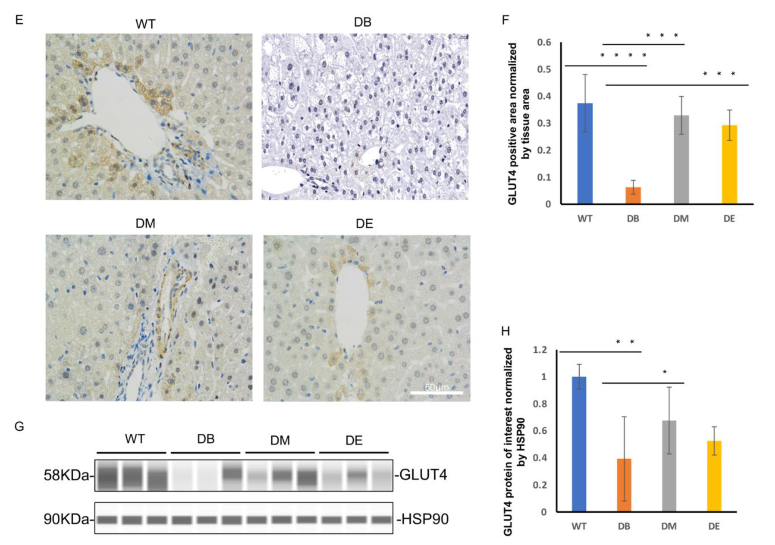 Ijms 23 09308 g001b 550