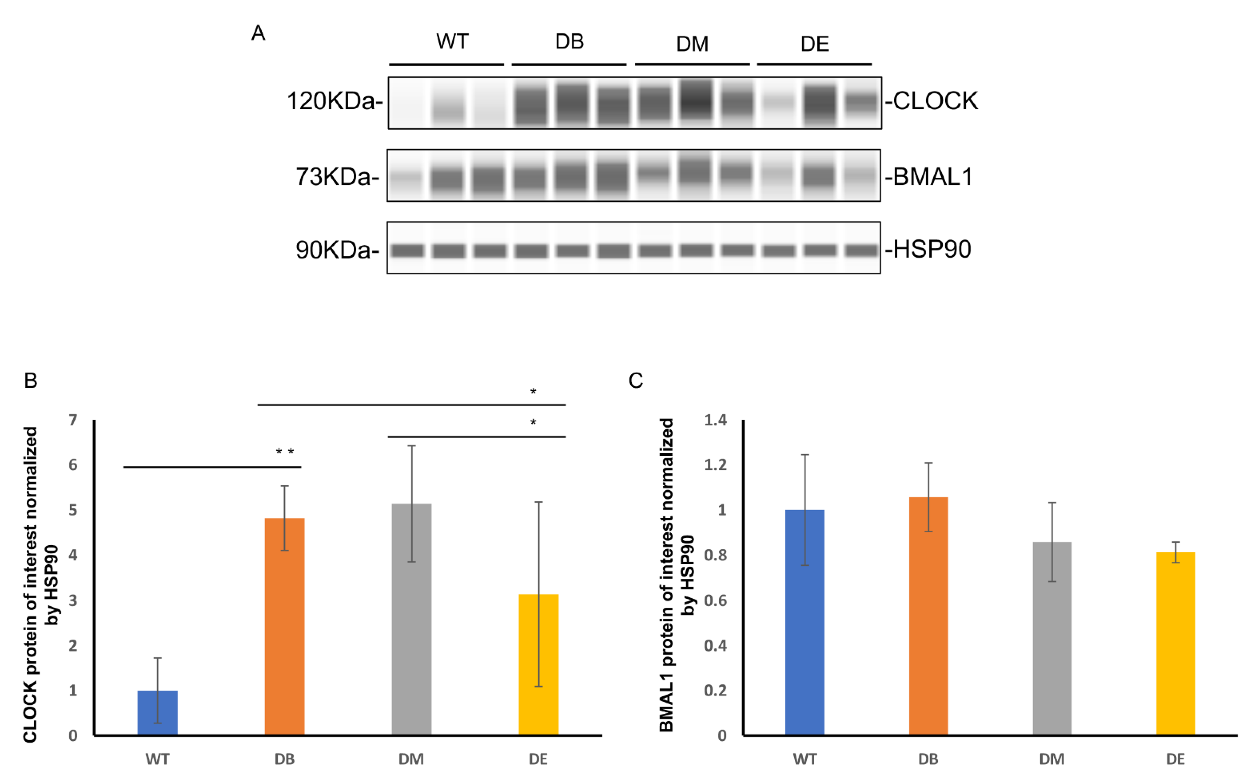 Ijms 23 09308 g003 550