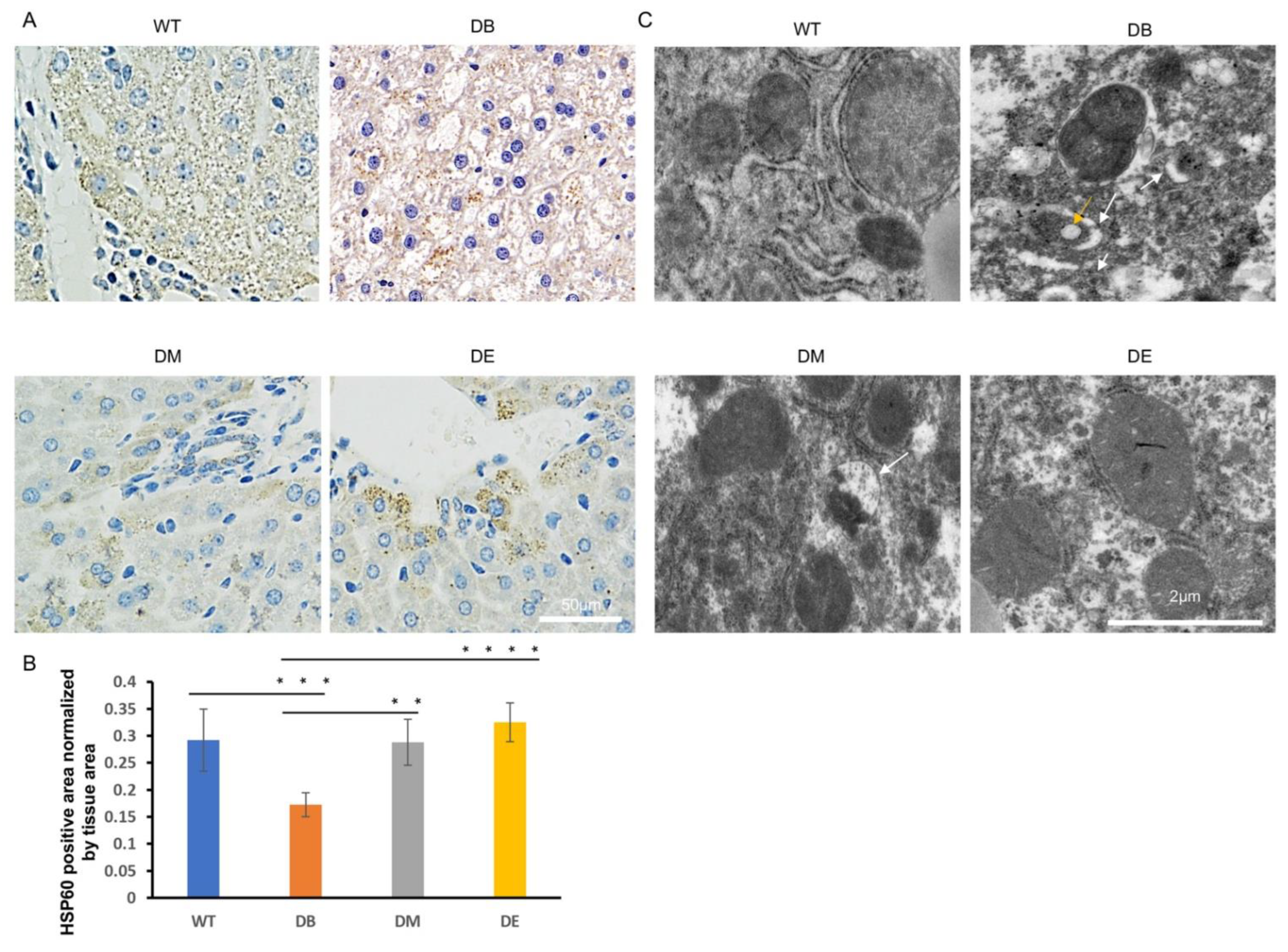 Ijms 23 09308 g004 550