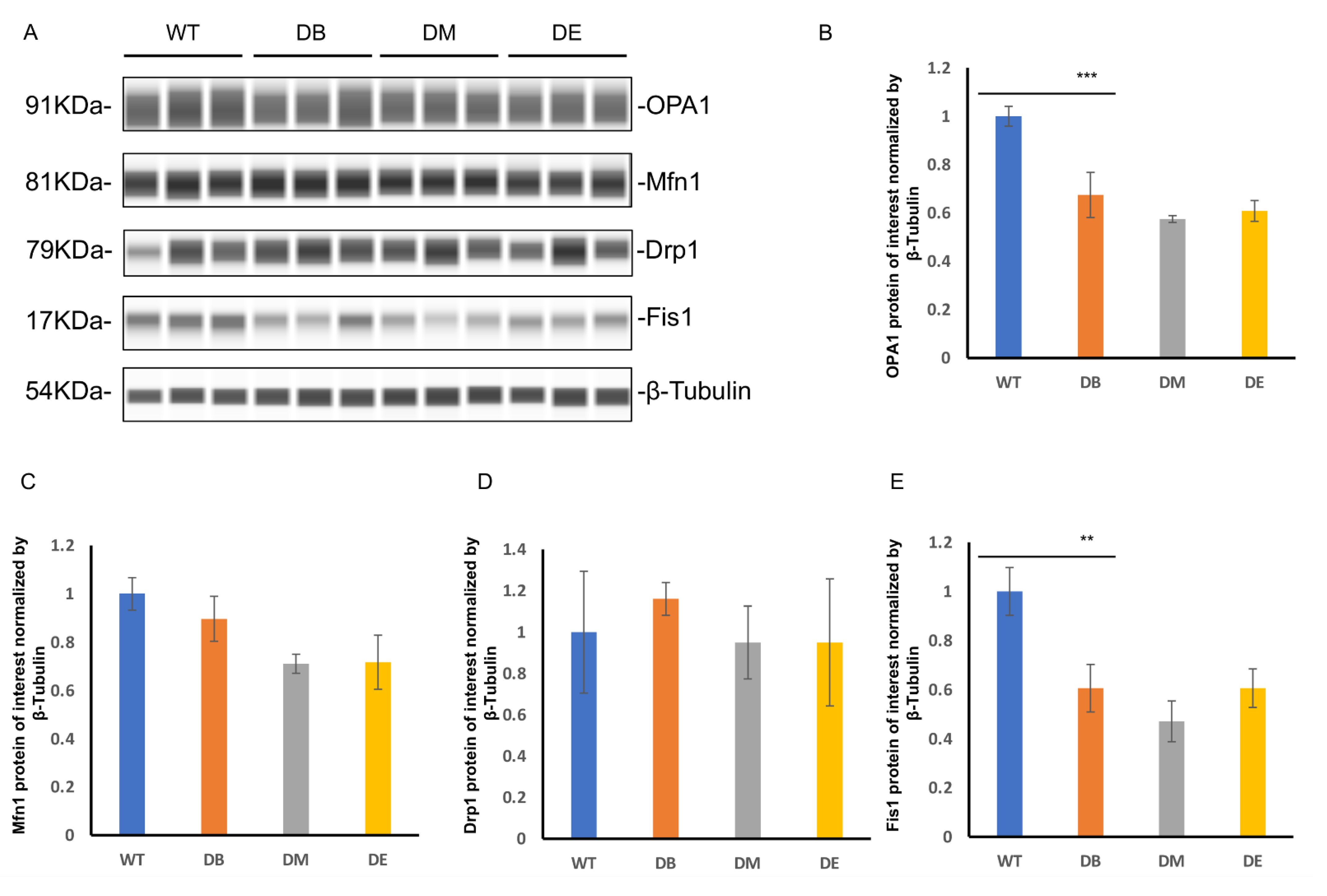 Ijms 23 09308 g005a 550