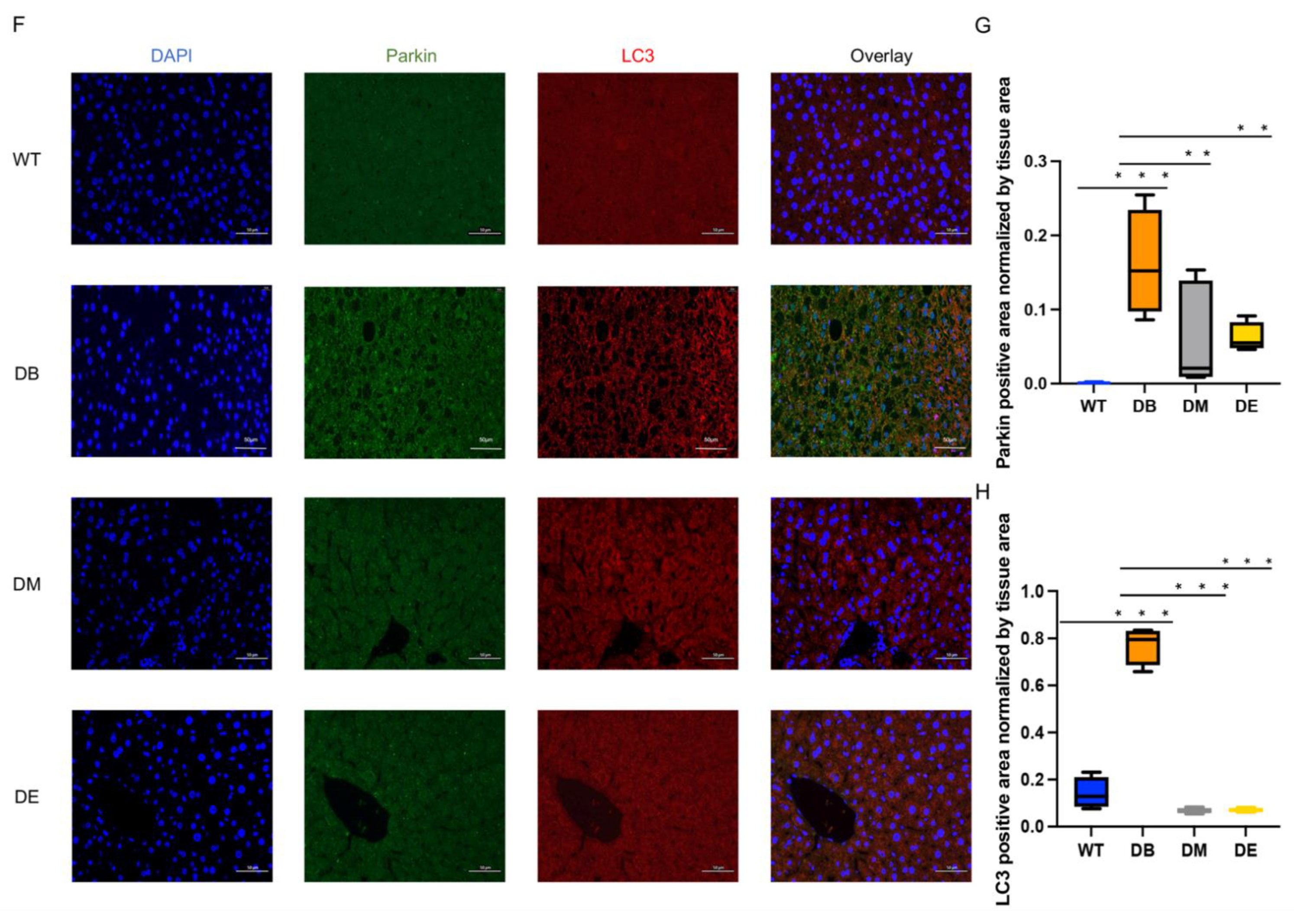 Ijms 23 09308 g005b 550