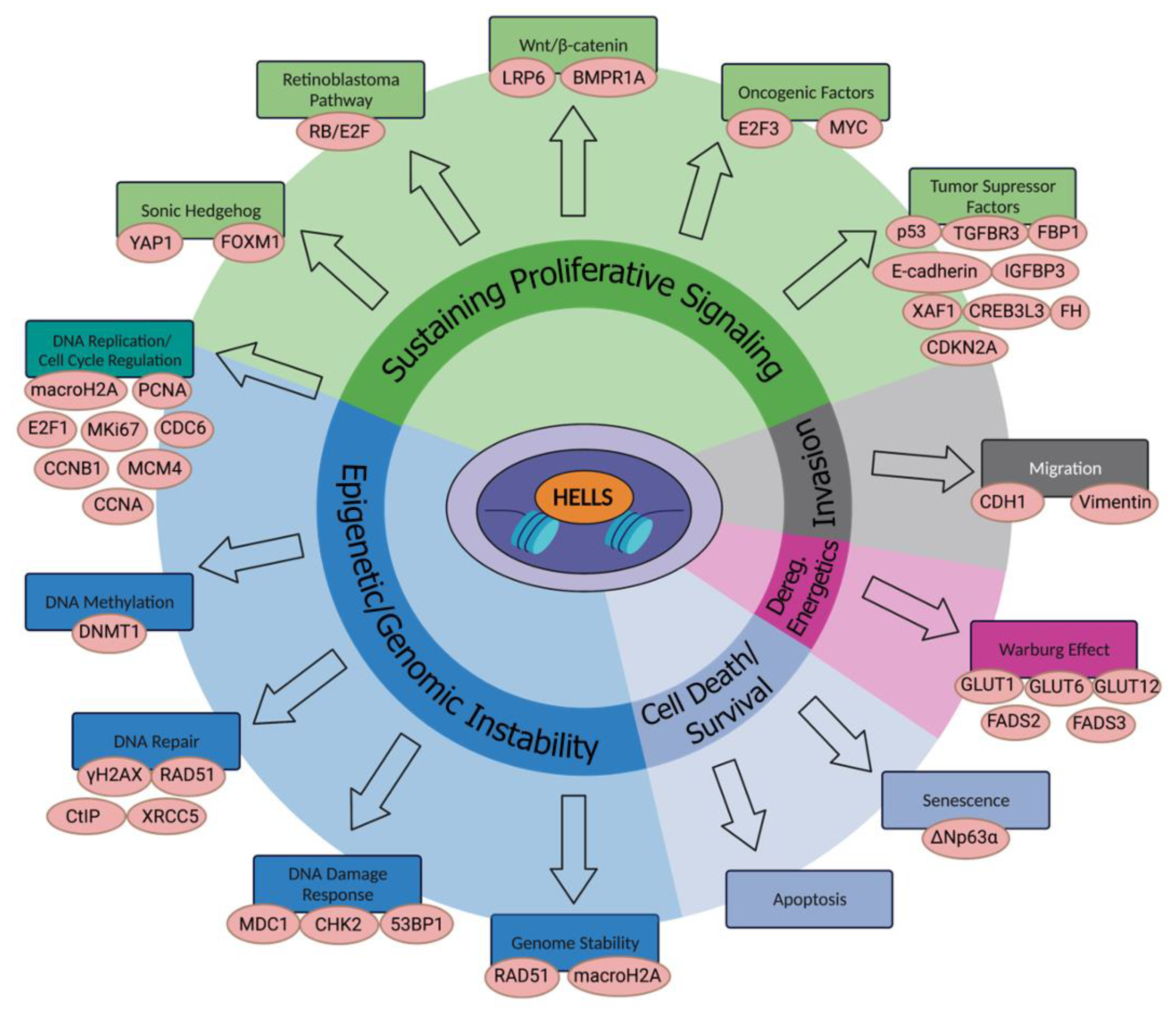 Ijms 23 09313 g001 550