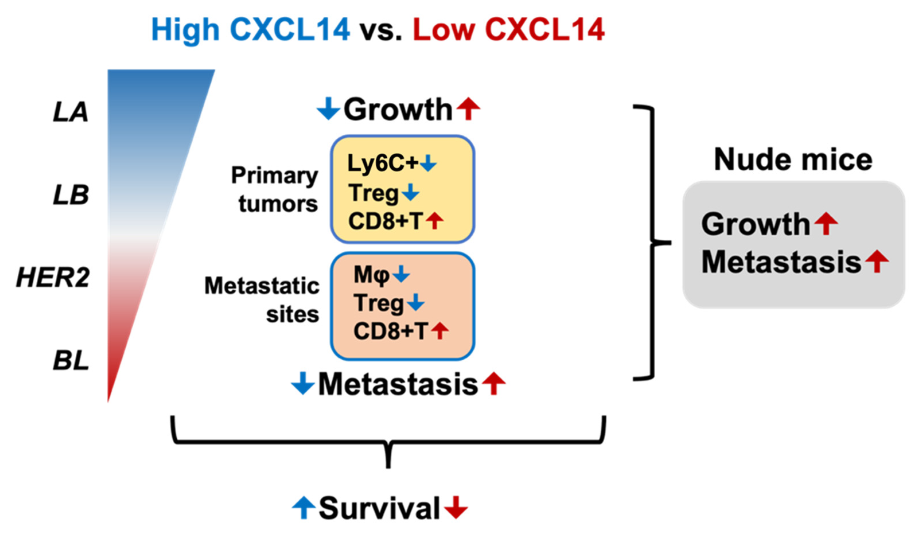 Ijms 23 09314 g007 550