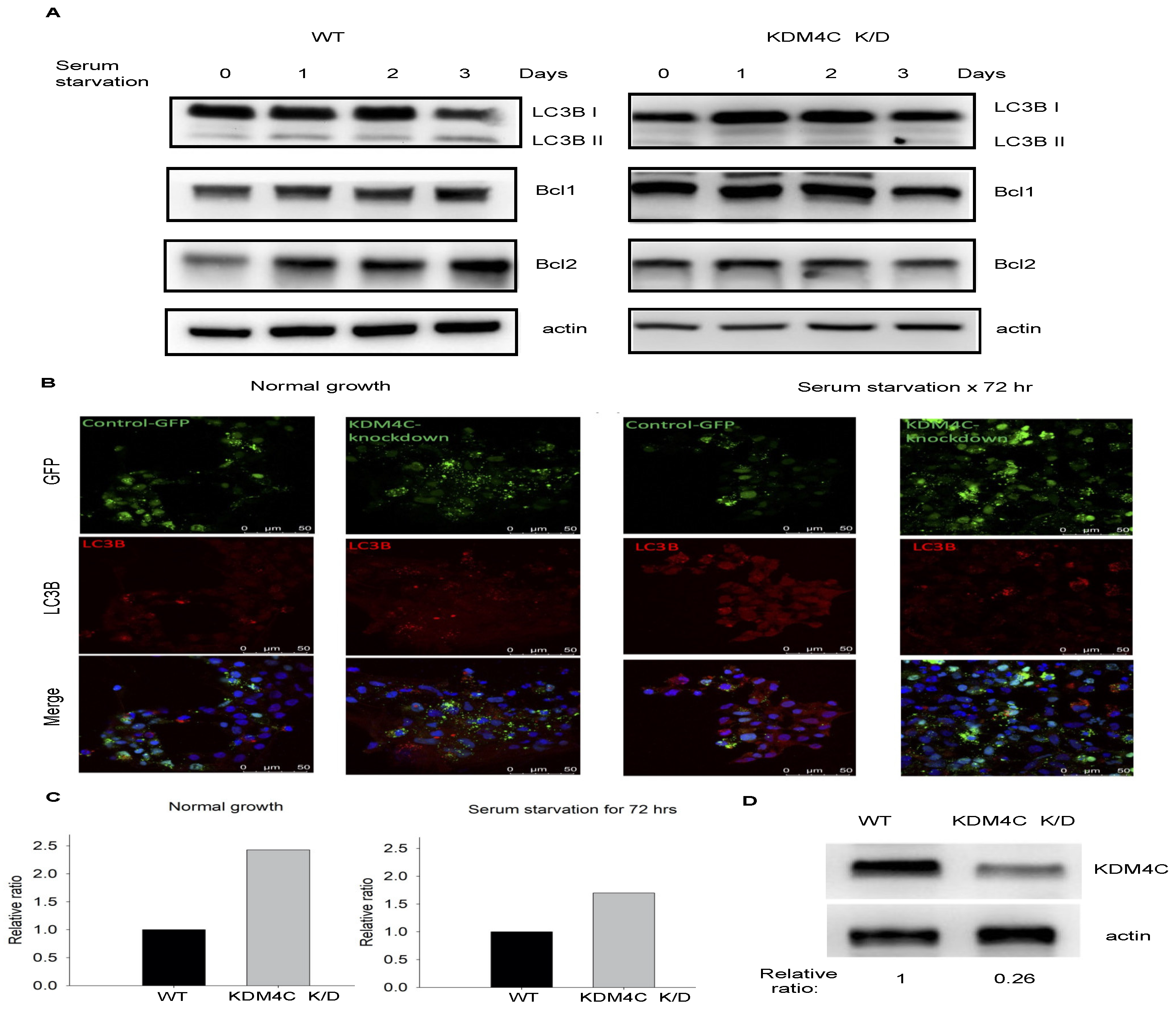Ijms 23 09318 g003 Ijms 23 09318 g003