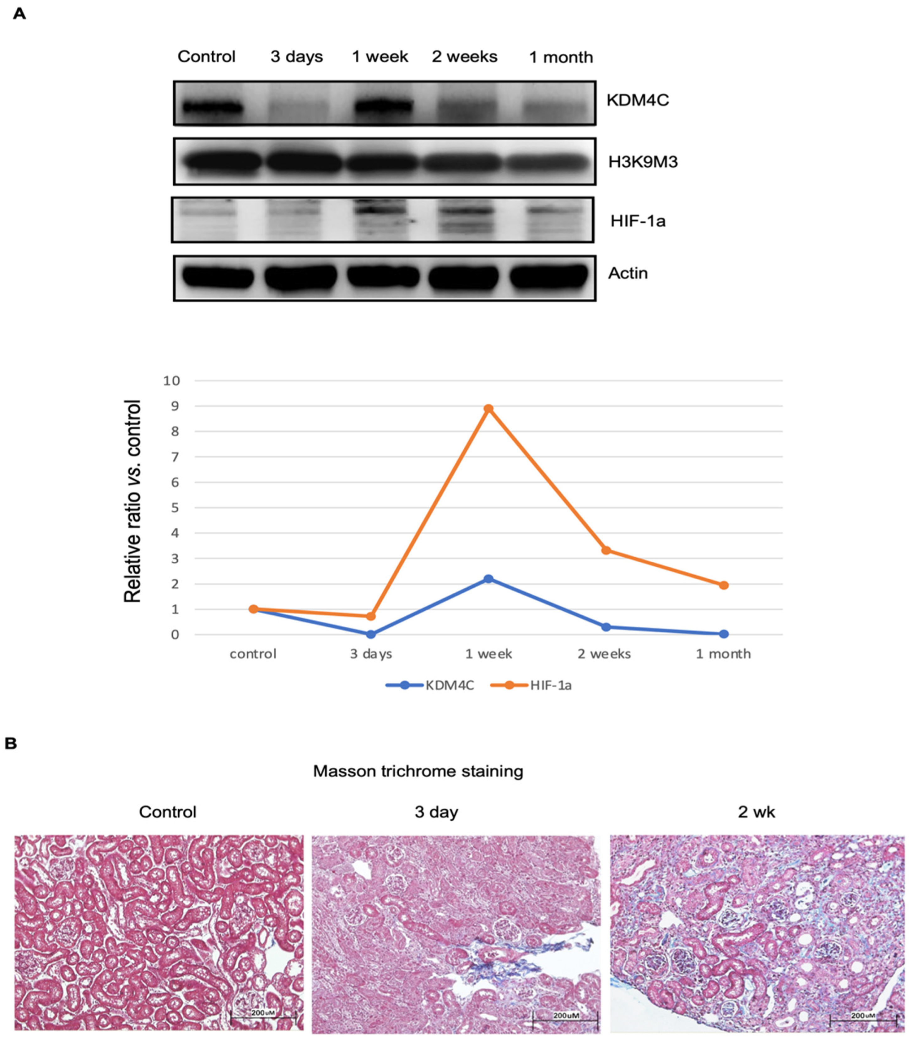 Ijms 23 09318 g004 Ijms 23 09318 g004