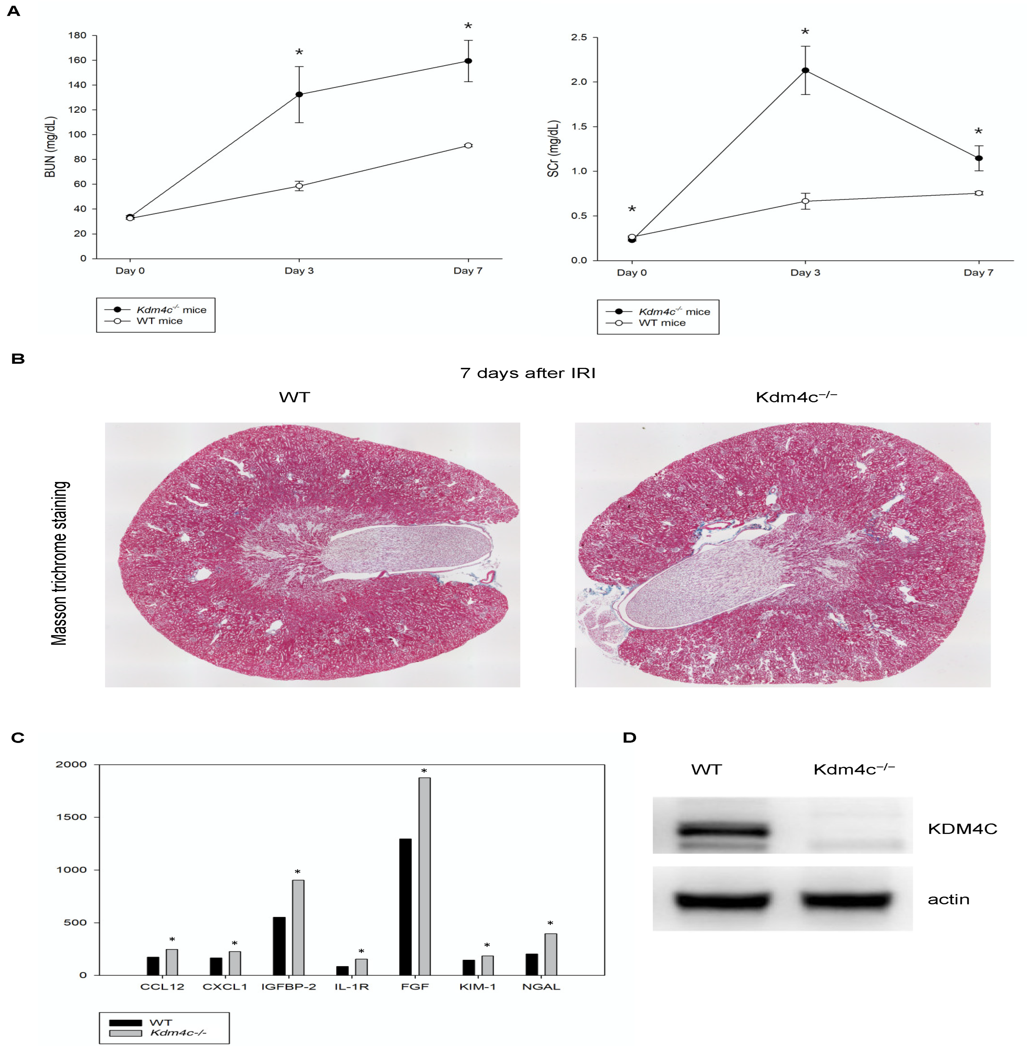Ijms 23 09318 g005 Ijms 23 09318 g005