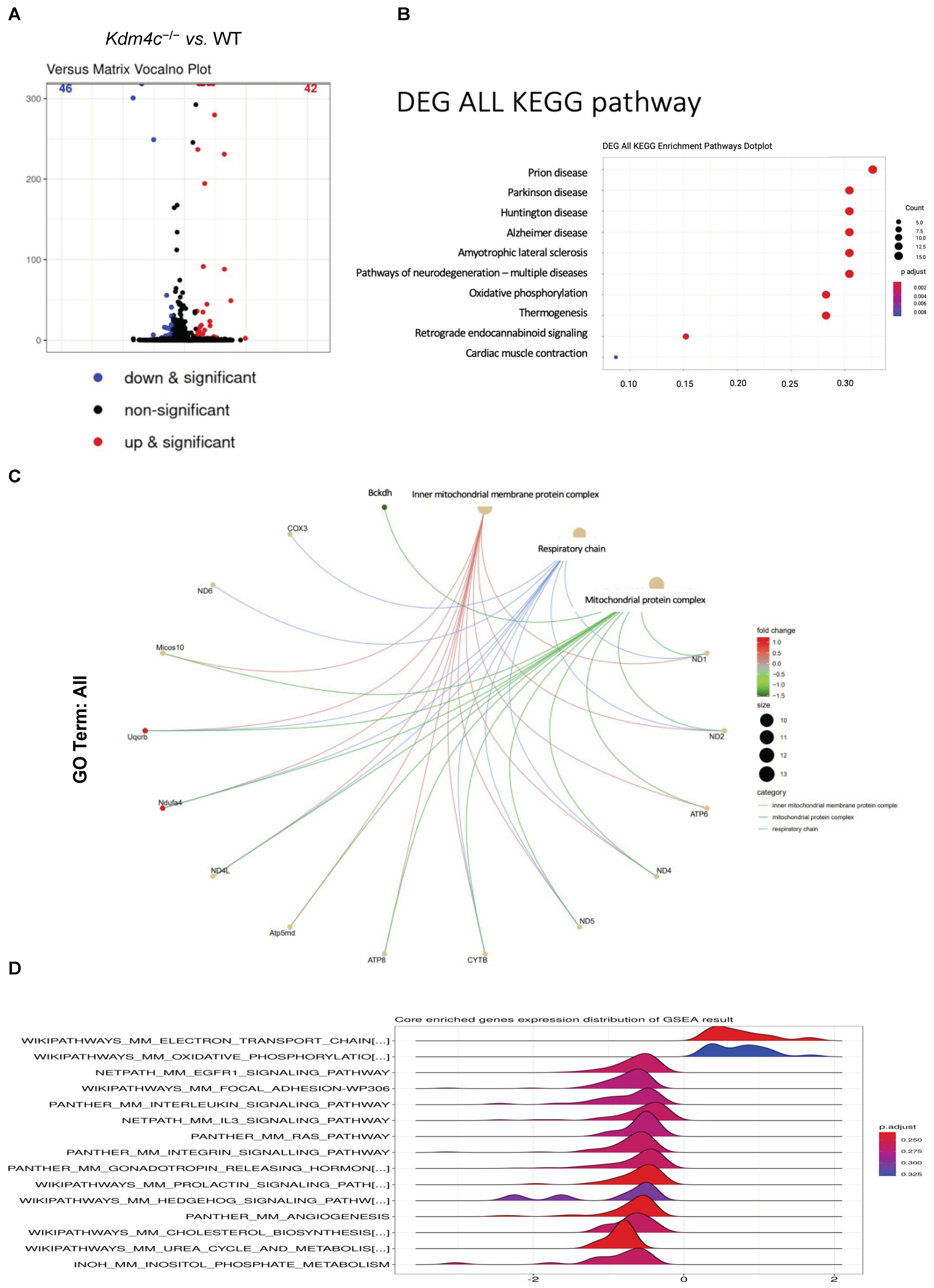 Ijms 23 09318 g006 Ijms 23 09318 g006