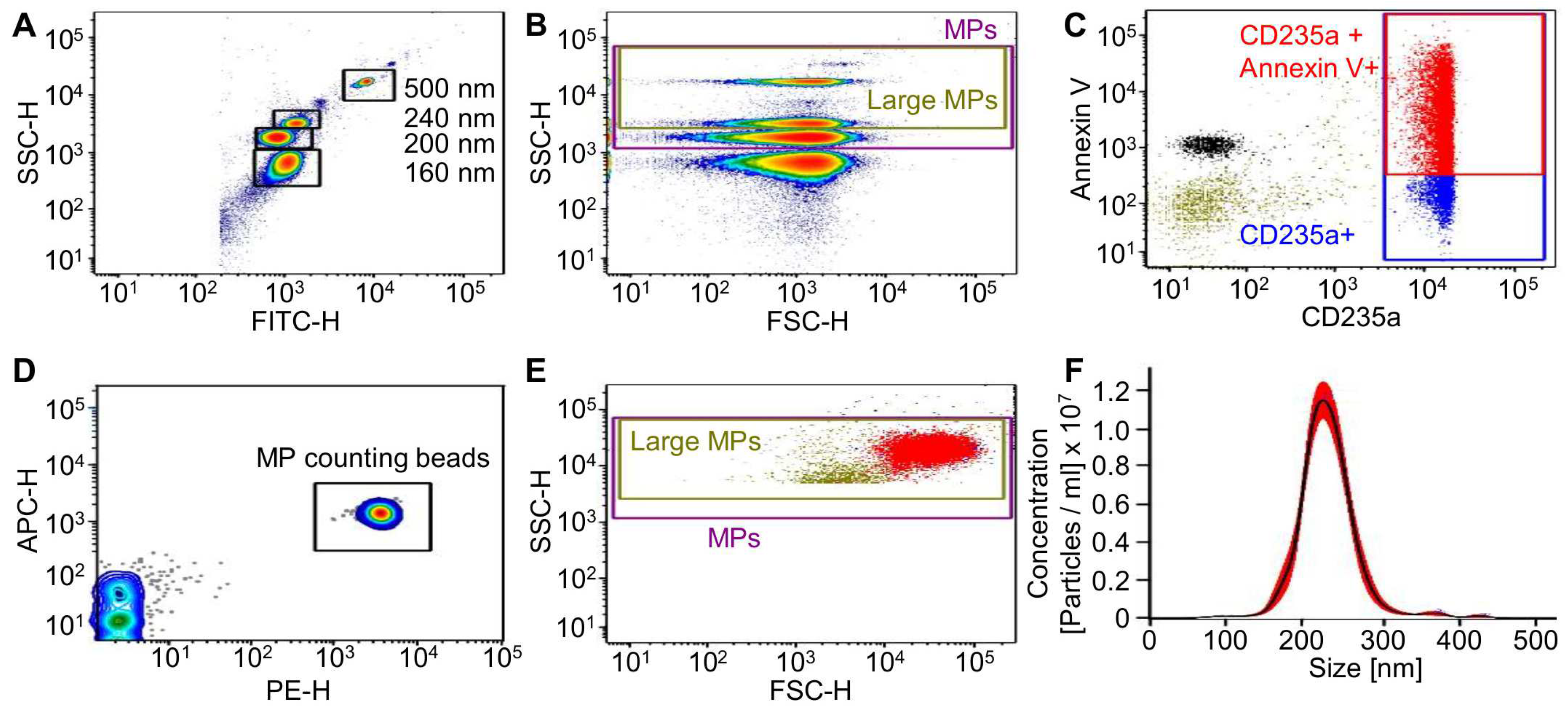 Ijms 23 09323 g001 550
