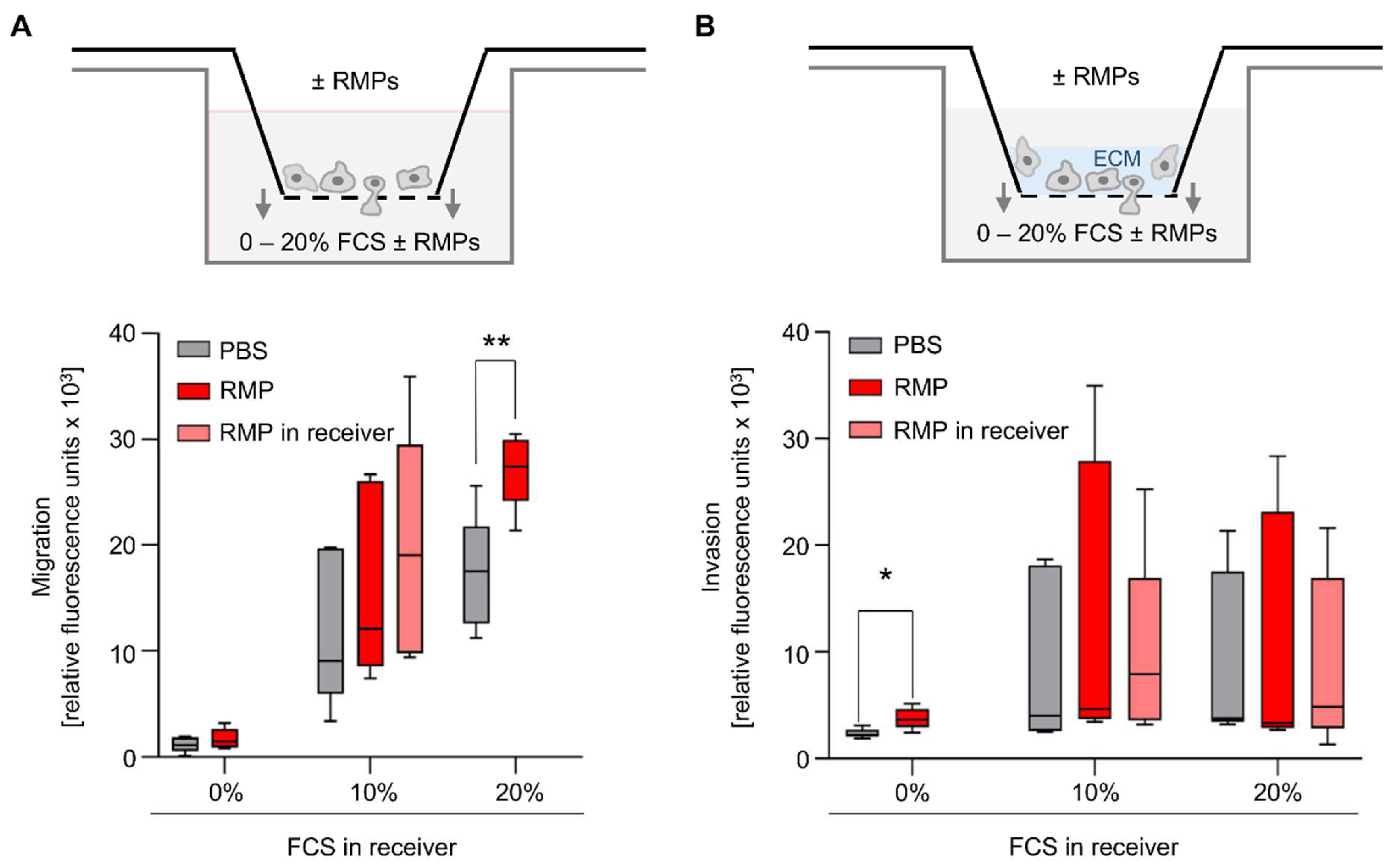 Ijms 23 09323 g004 550