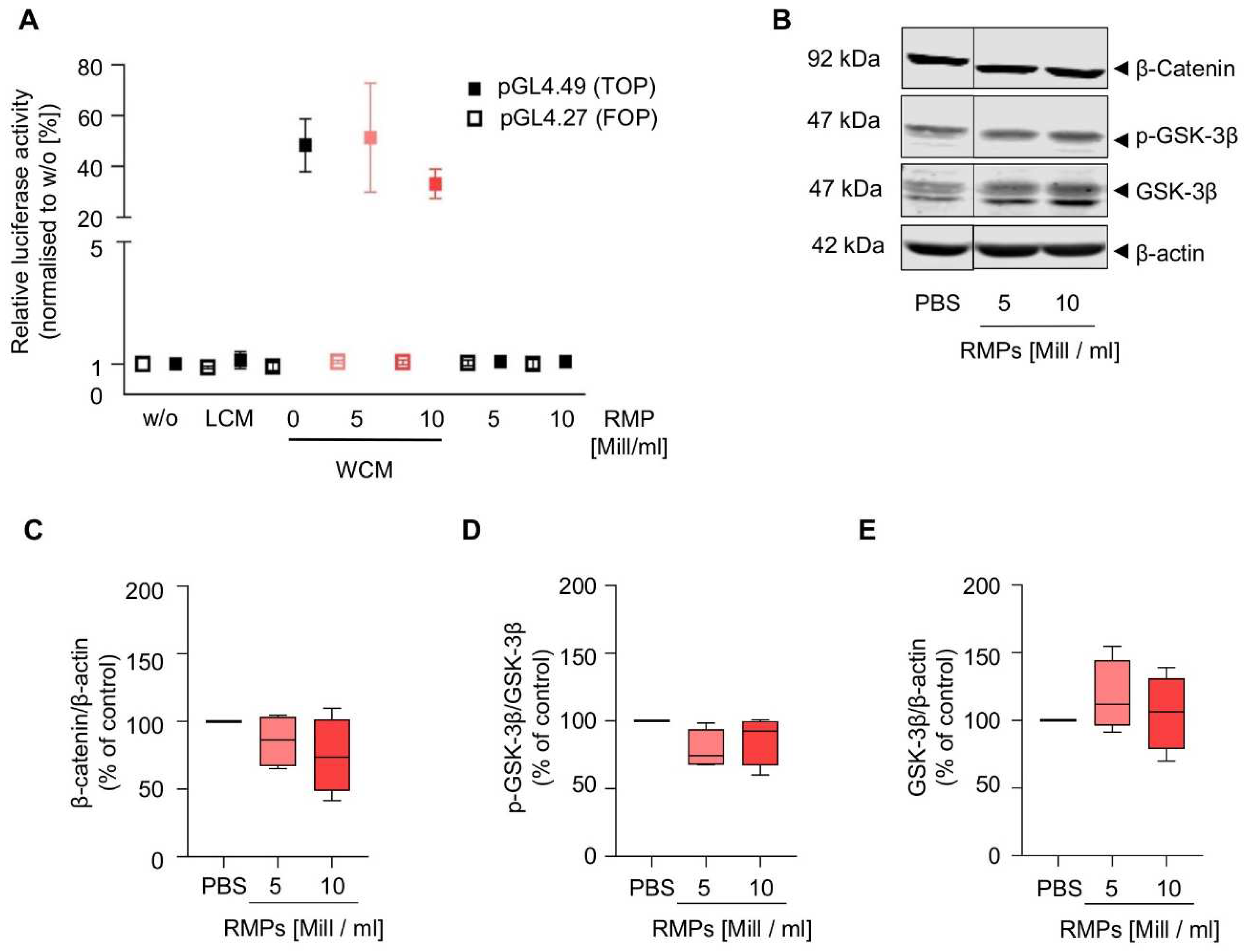 Ijms 23 09323 g005 550